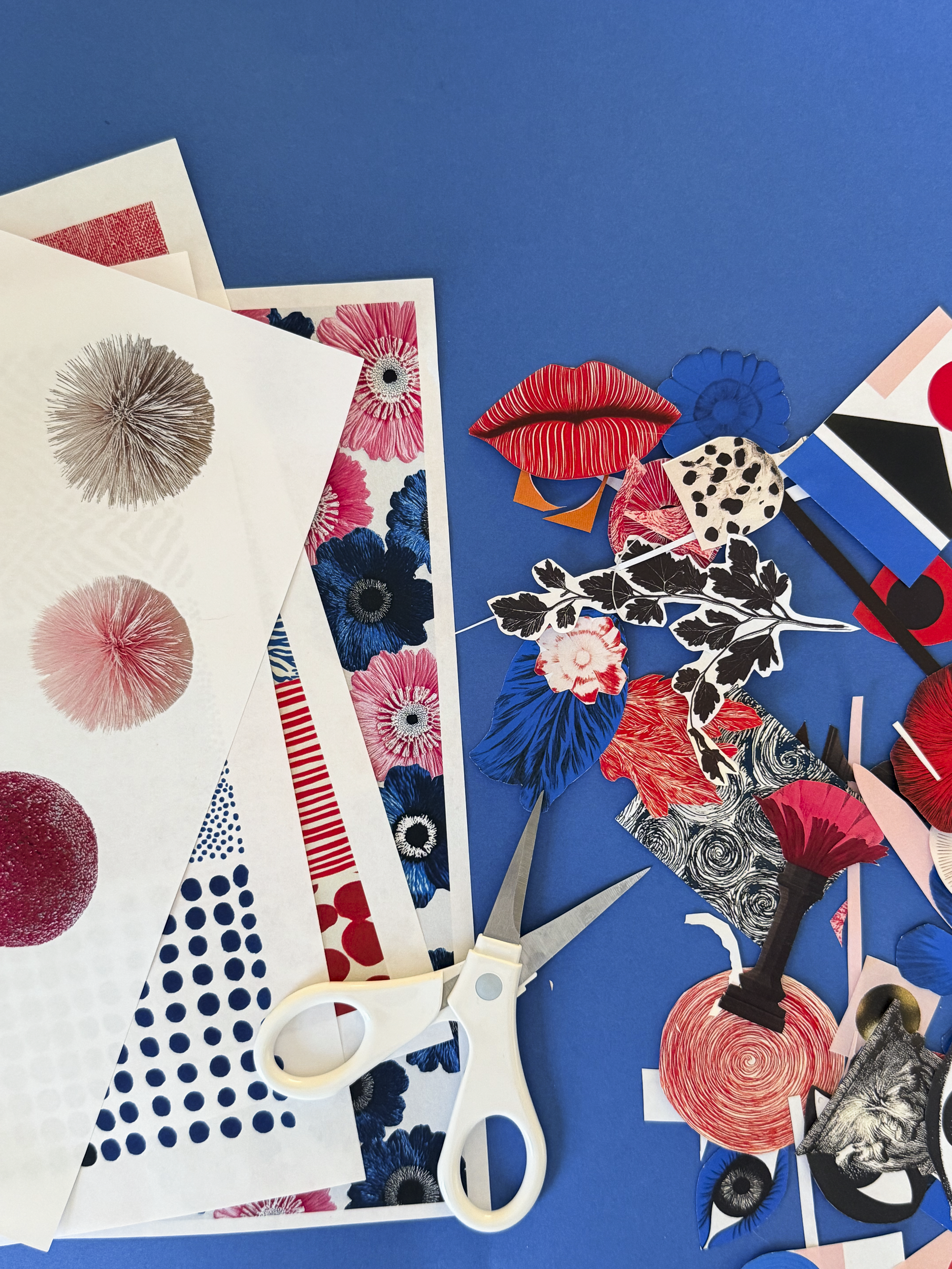 collage papers floral, pom pots, lips, cobalt blue, red, flowers, dots, eyes