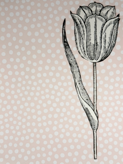 scissors-and-glue-studio-tulip.png