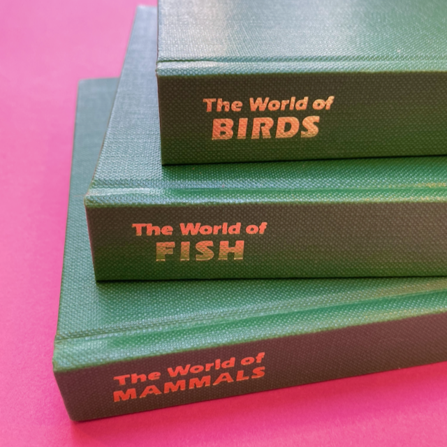 scissors-and-glue-studio-vintage-world-of-birds.png