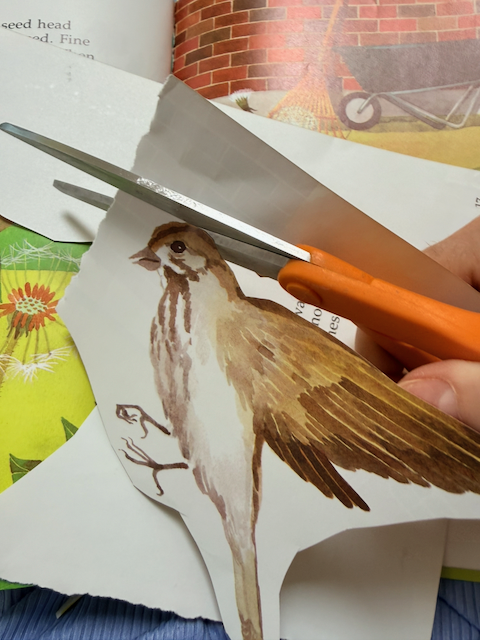 scissors-and-glue-studio-cutting-bird.png