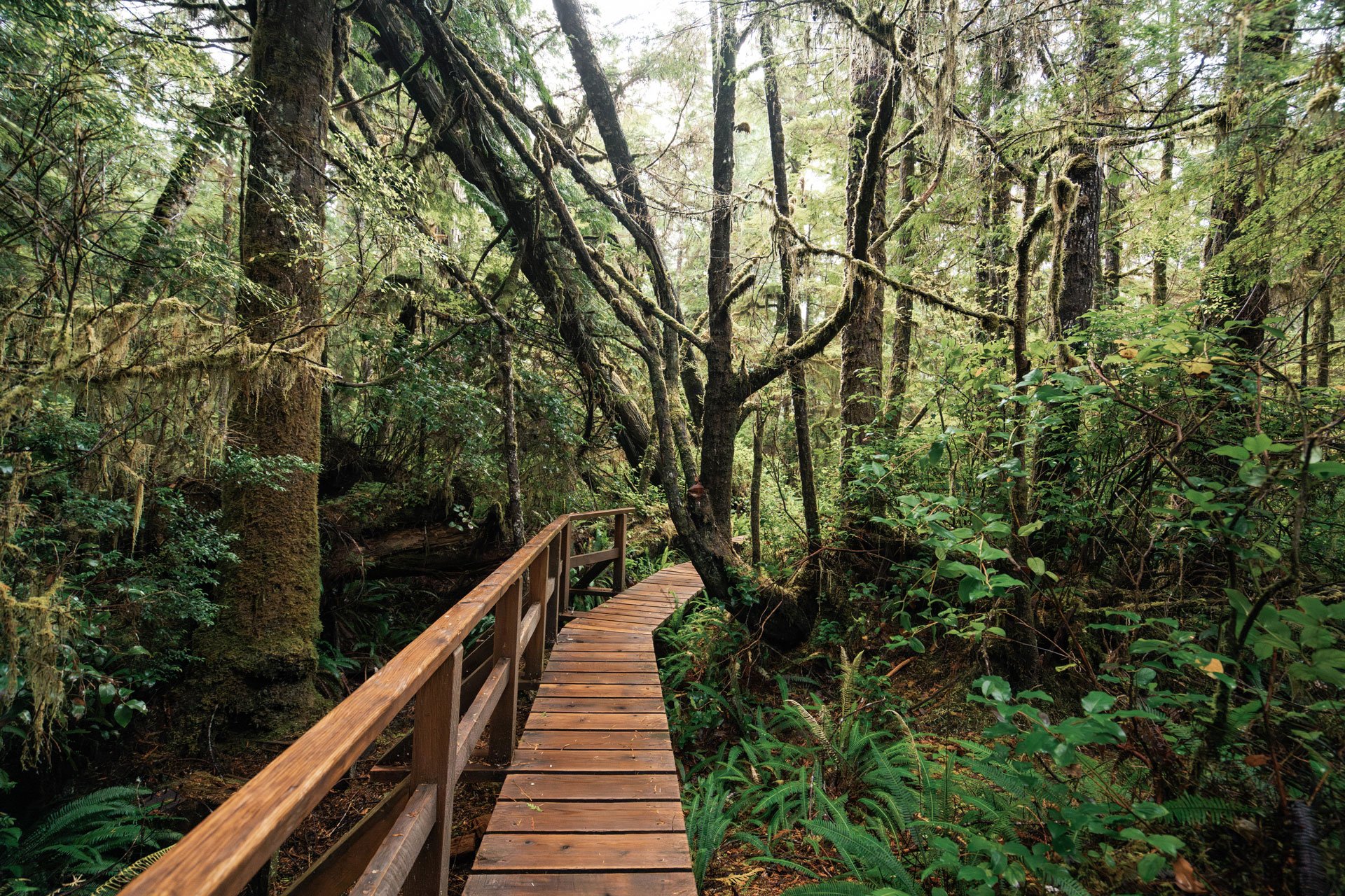 Self-Managing vs. Hiring a Property Manager