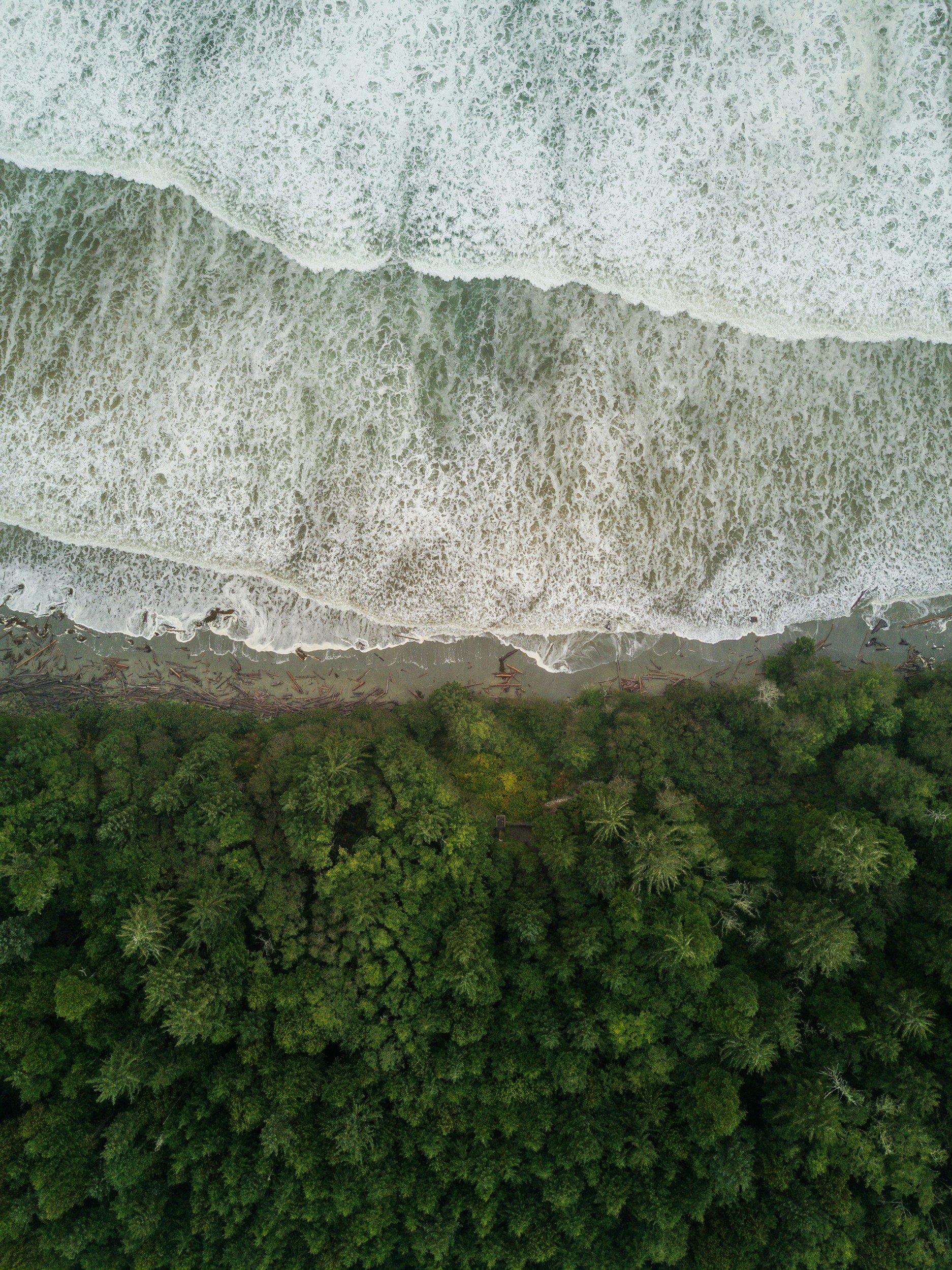 Aerial view of a coastline with waves hitting the beach and dense green forest.