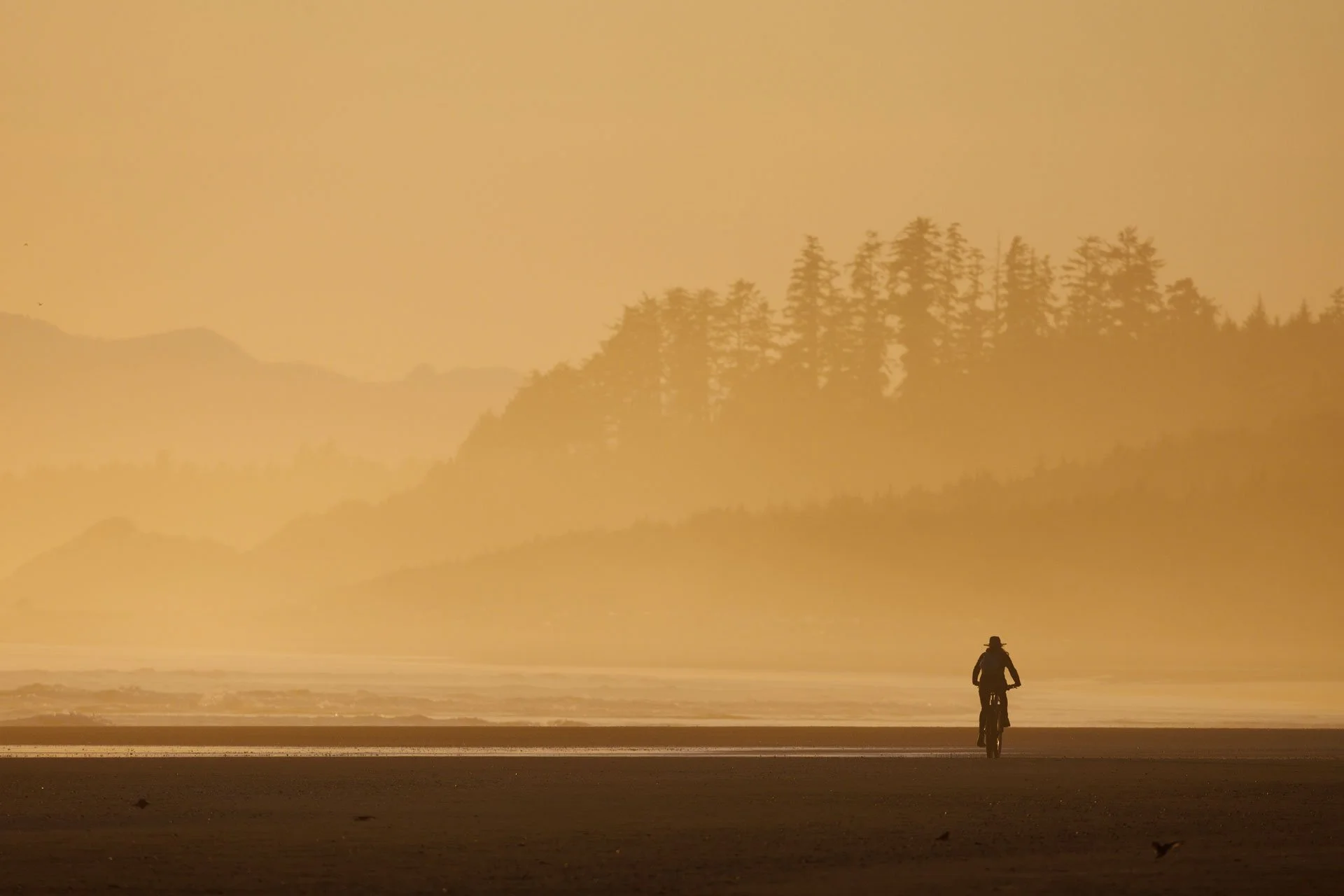 Why Returning Guests Matter