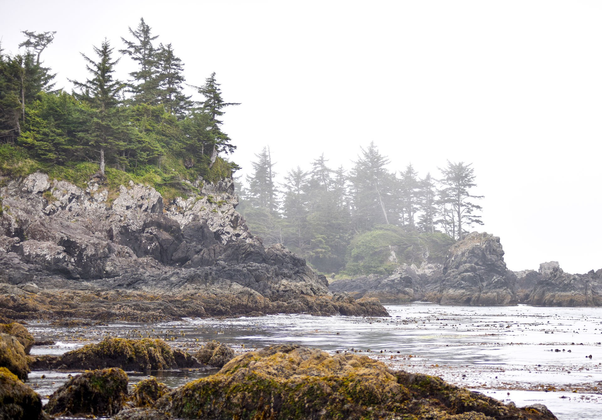 The Value of Local Stays During the Off-Season