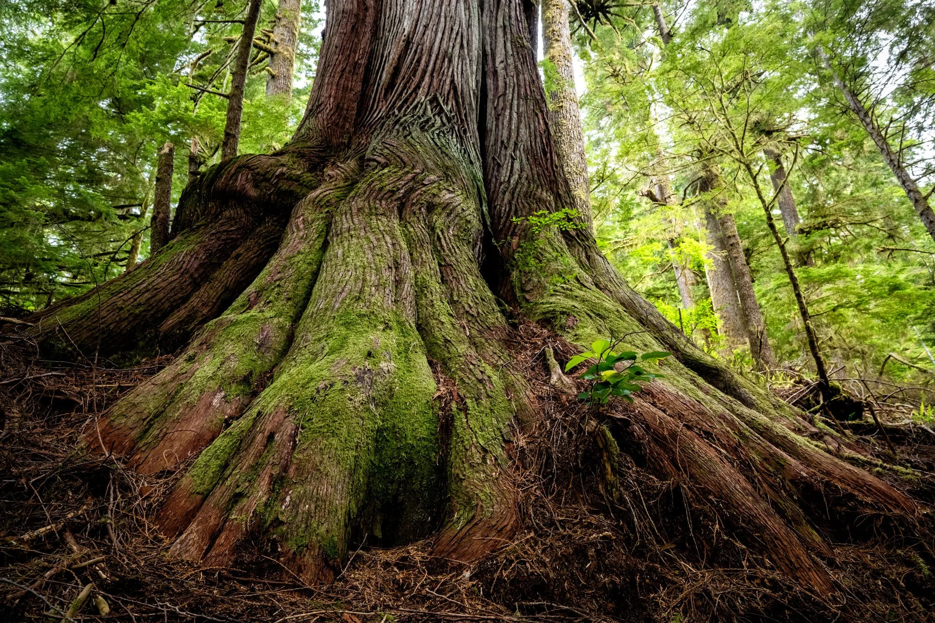 Protecting a Short-Term Rental as a Long-Term Investment