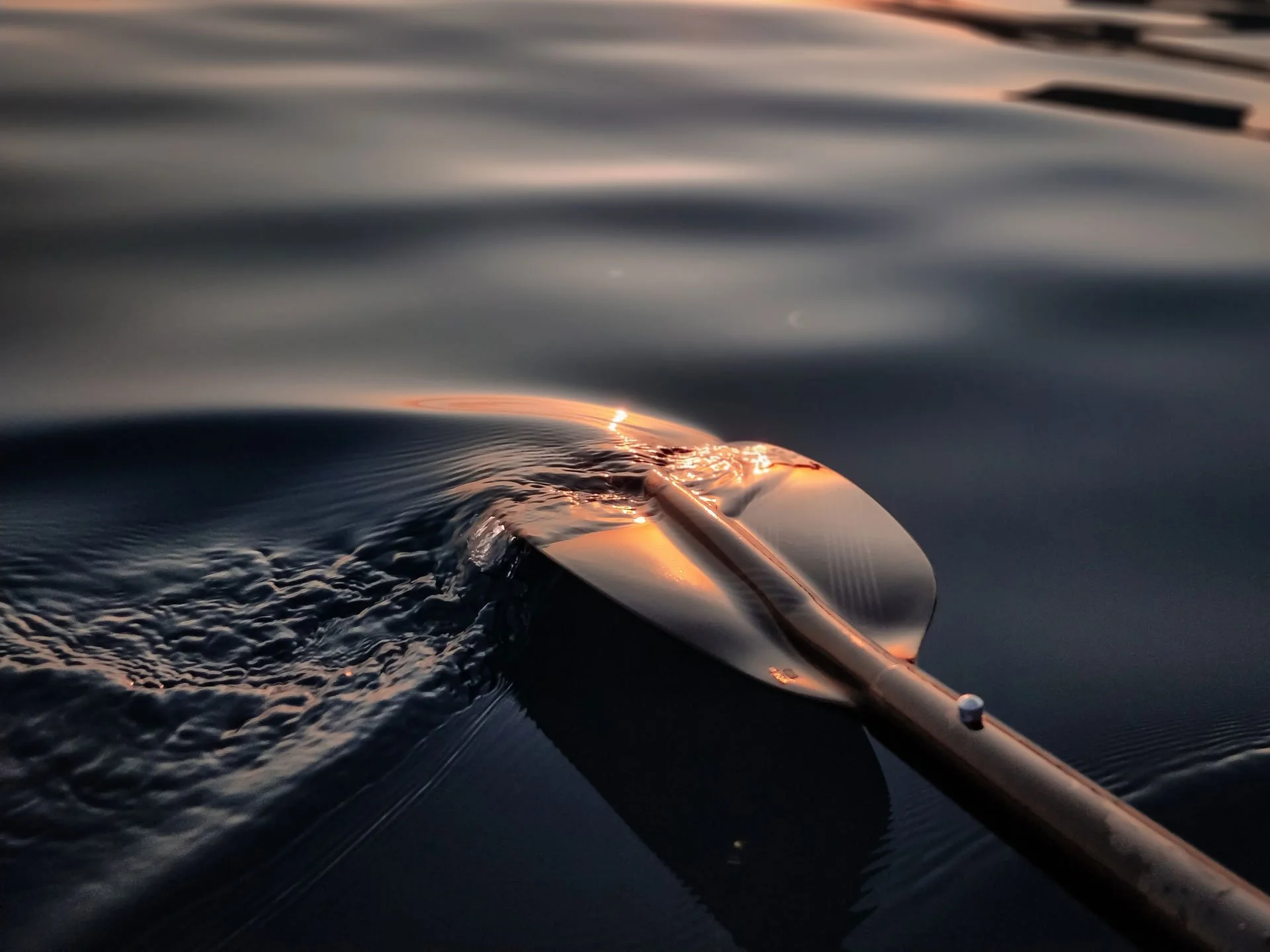 Slowing Down on the Coast