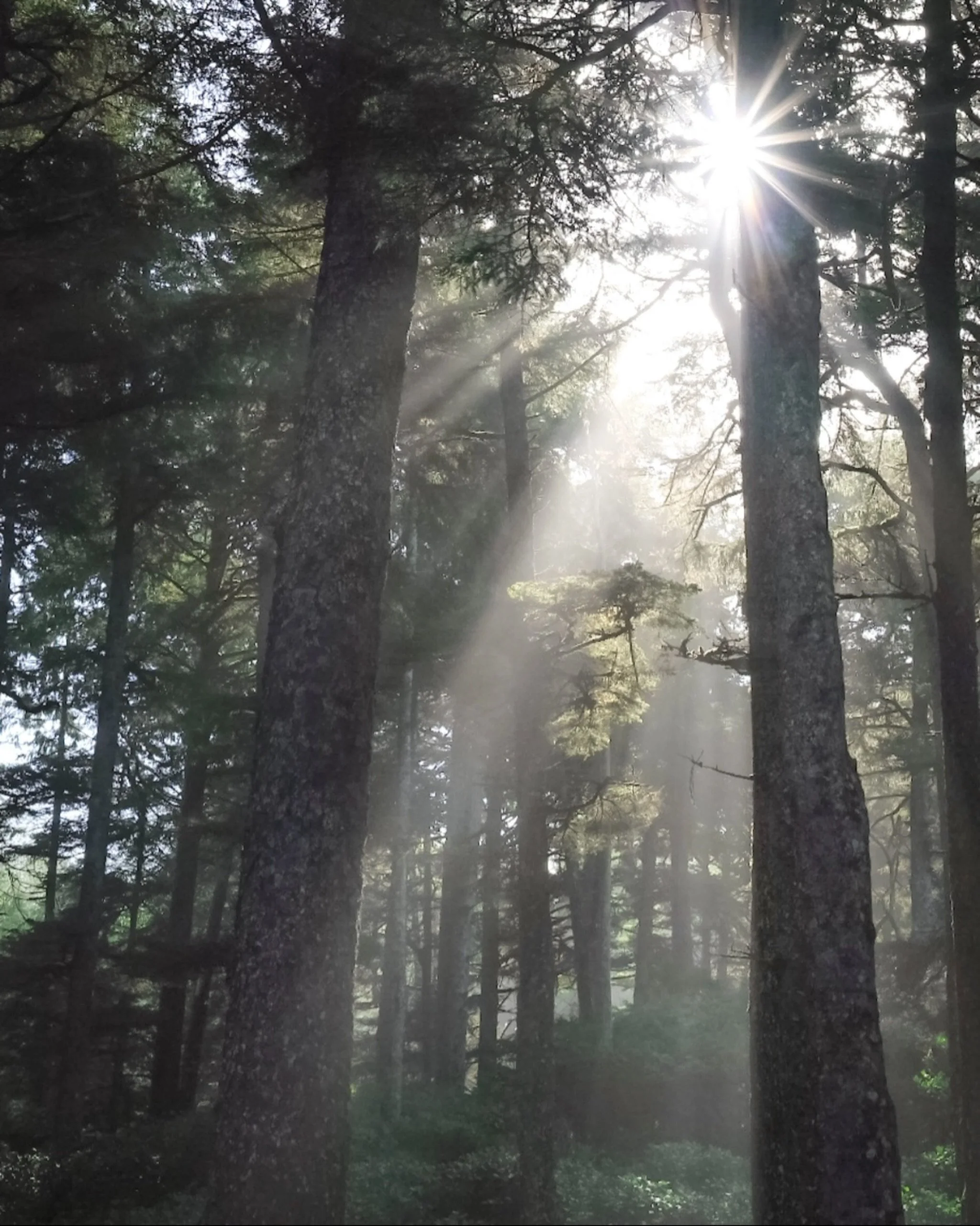 Some vacation properties need more than management. 

Tidewood is for owners who want their space cared for with intention, while being represented thoughtfully by people who live here and notice the details. 

From how a property is cared for to how