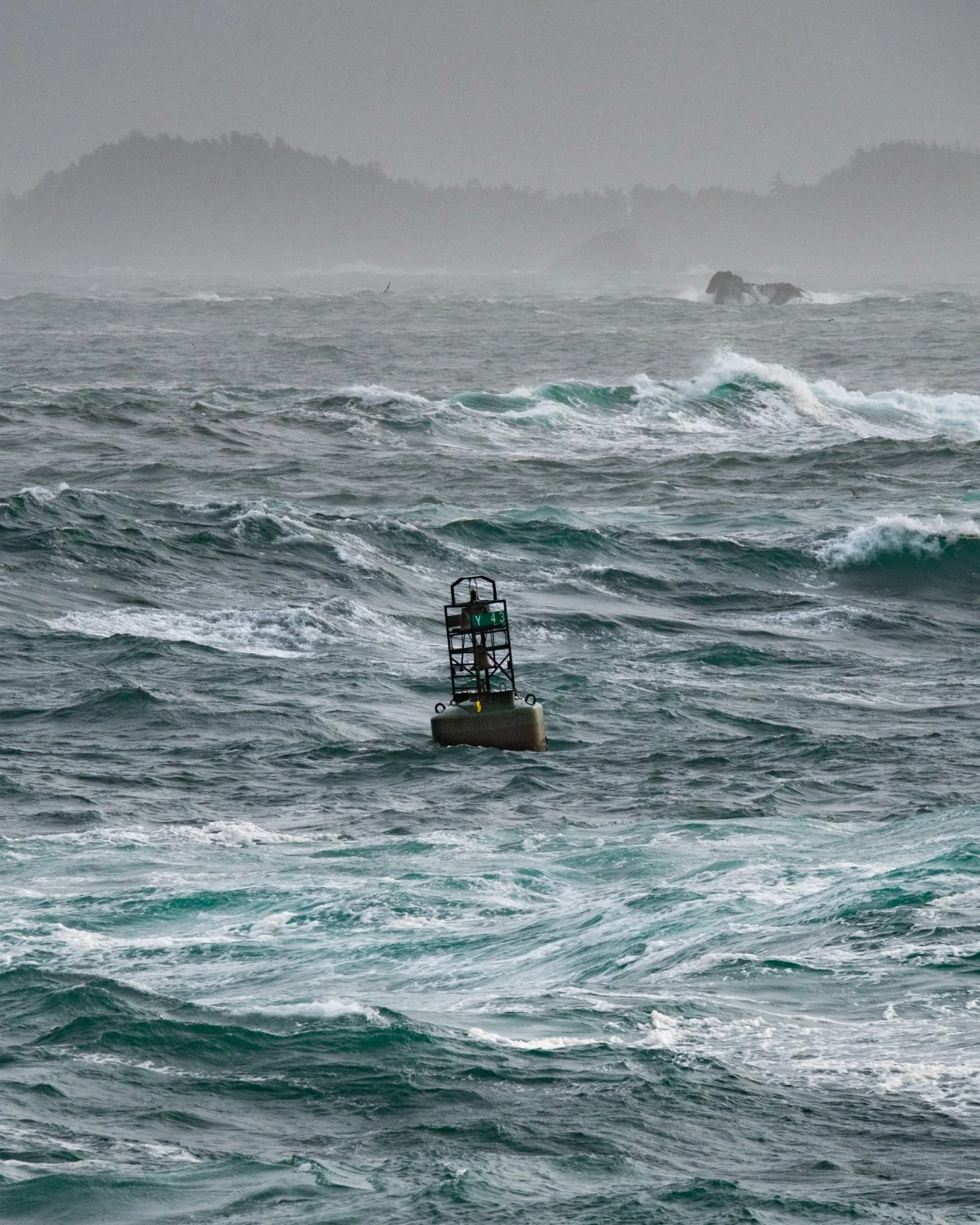 Local presence matters.

Because we live here in Ucluelet, we&rsquo;re able to respond quickly and provide hands-on support for your vacation property with the awareness that only comes from being part of this community. 

#tidewood #tidewoodproperty