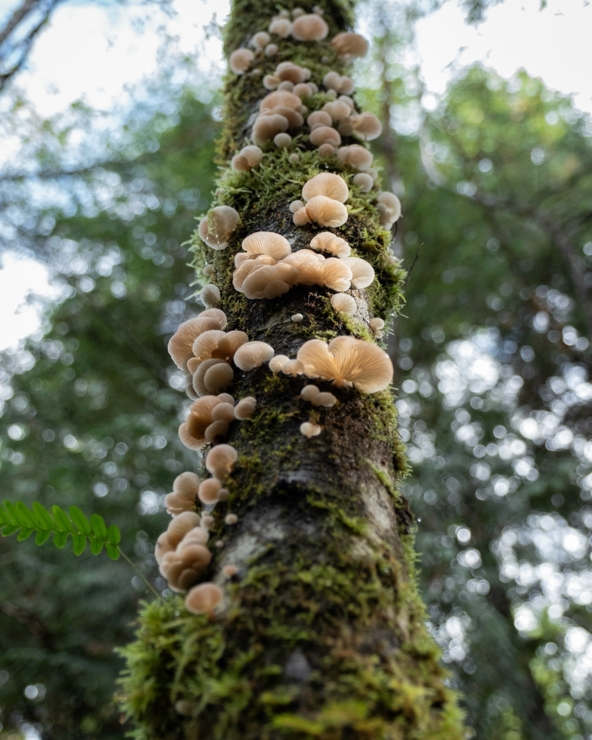 At Tidewood, we offer three core services:
1. Property Management
2. Cleaning Management
3. Social Media Management

A complete boutique approach&mdash;all in one place. 

#tidewood #tidewoodpropertymanagement #ucluelet #ukee #tofino #westcoastliving