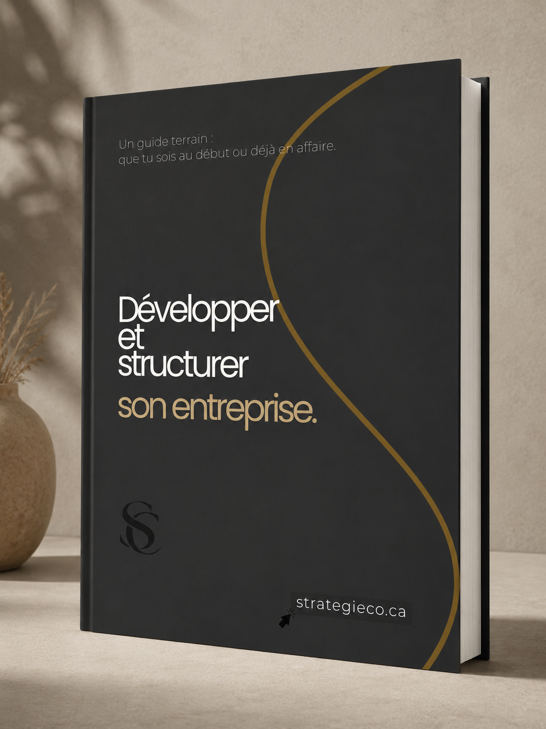 couverture-developper-structurer-entreprise.png