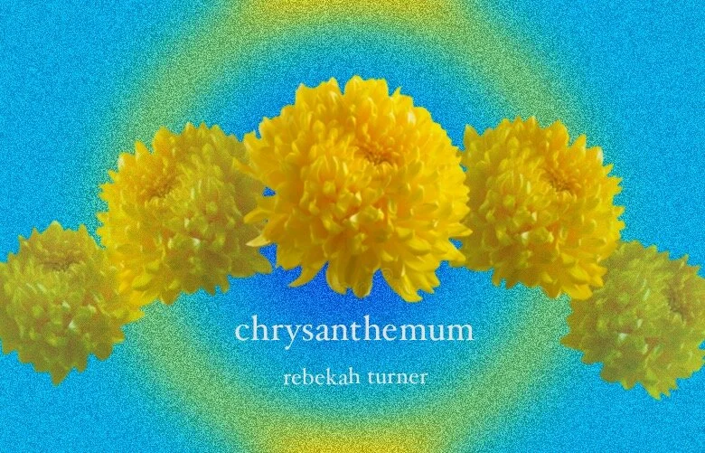 Chrysanthemum: A Sign of Moving Forward