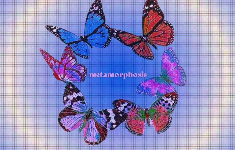 Metamorphosis