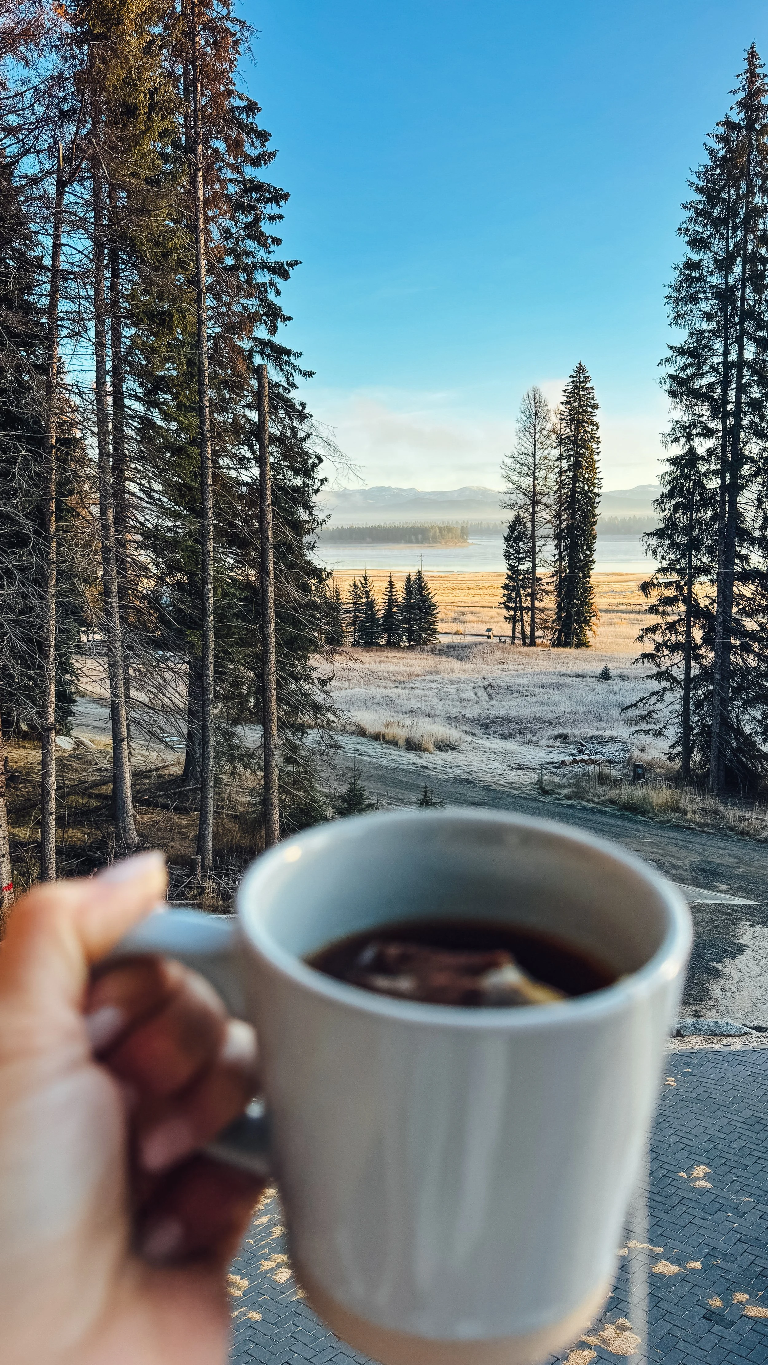 Person holding a coffee mug with a scenic view of trees, a lake, and mountains in the background, captured during early morning or late afternoon.