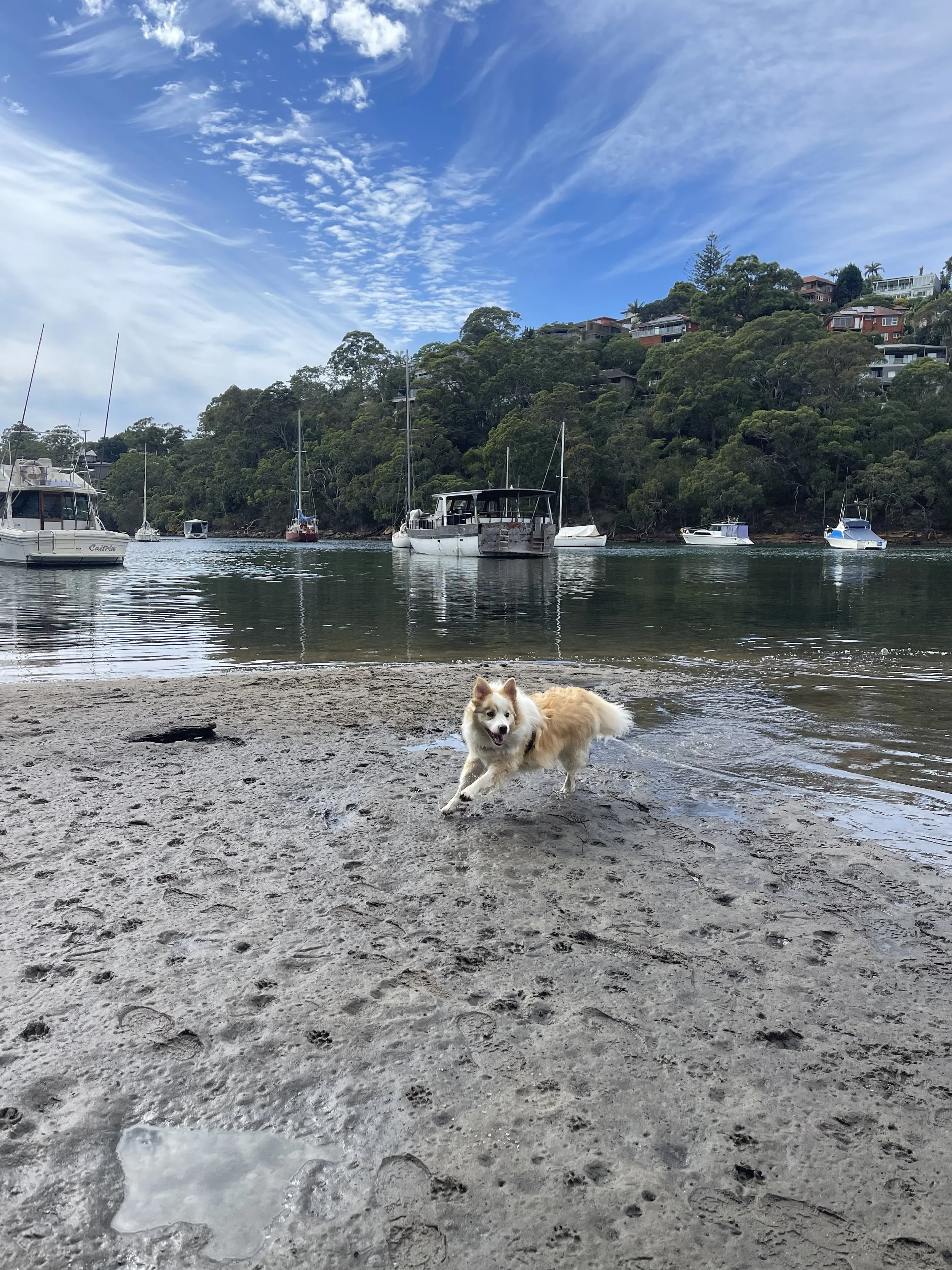 IMG_2273.jpeg