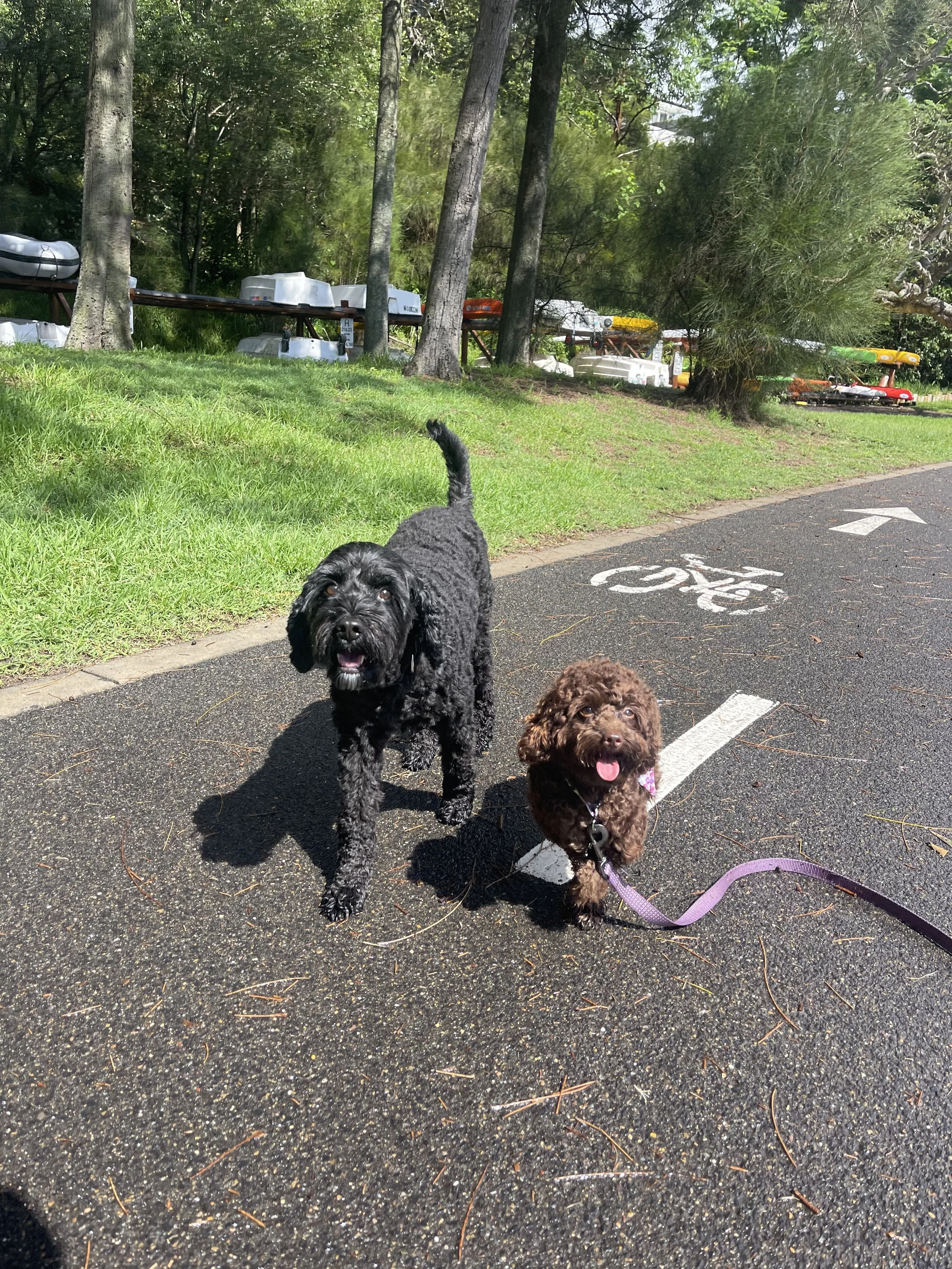 Signature Adventure Walks