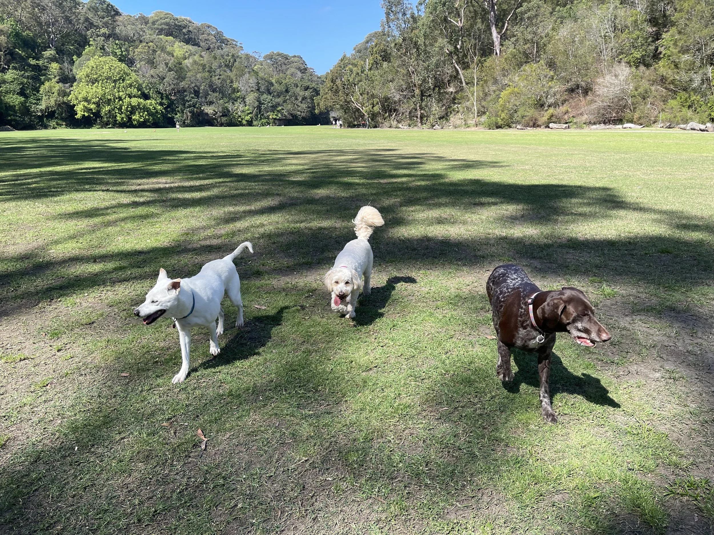 2-3 Walks - Balanced Routine