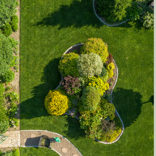 A garden with a variety of trees and bushes surrounded by a curved edging, with a well-manicured lawn and a stone pathway with a person watering plants.