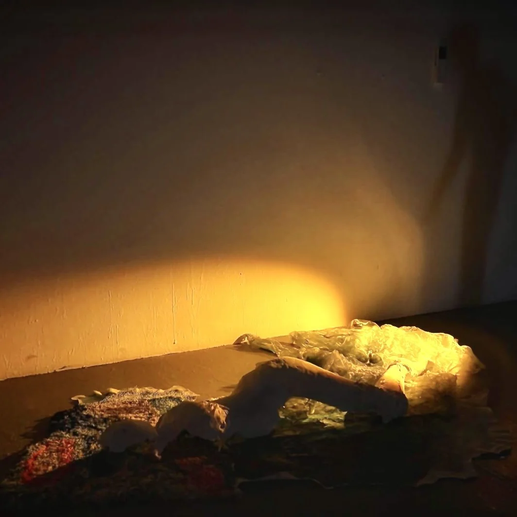 Ghost Forest 
alginate plaster cast, interactive flashlight
110 x 100 x 12 in.