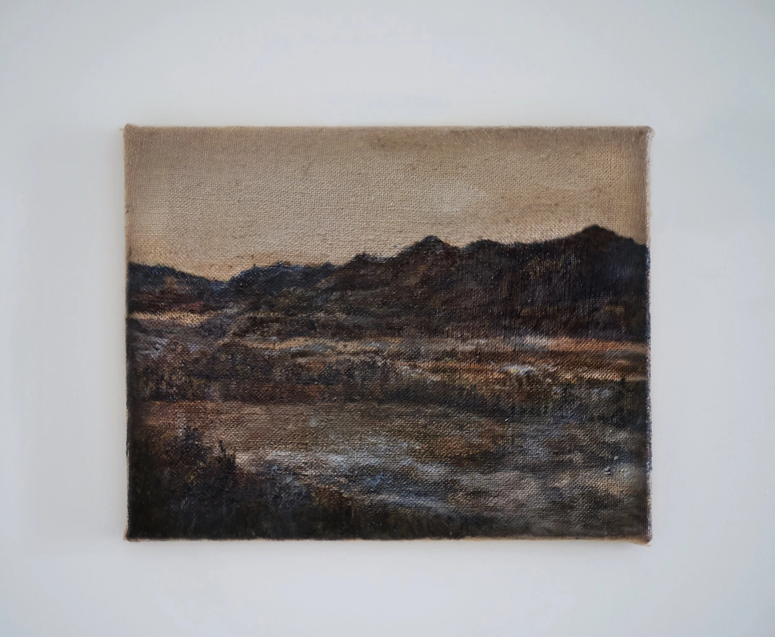 Universal Brown 
 11 x 14 in.
2025. Oil painting on linen.