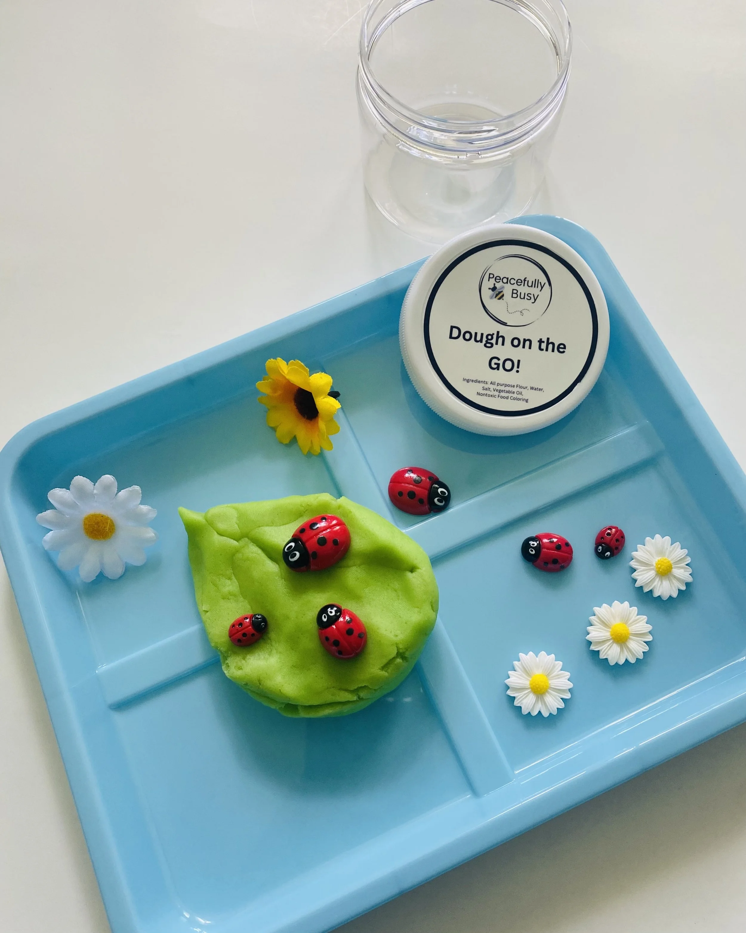 Lady Bug - Dough on the Go!