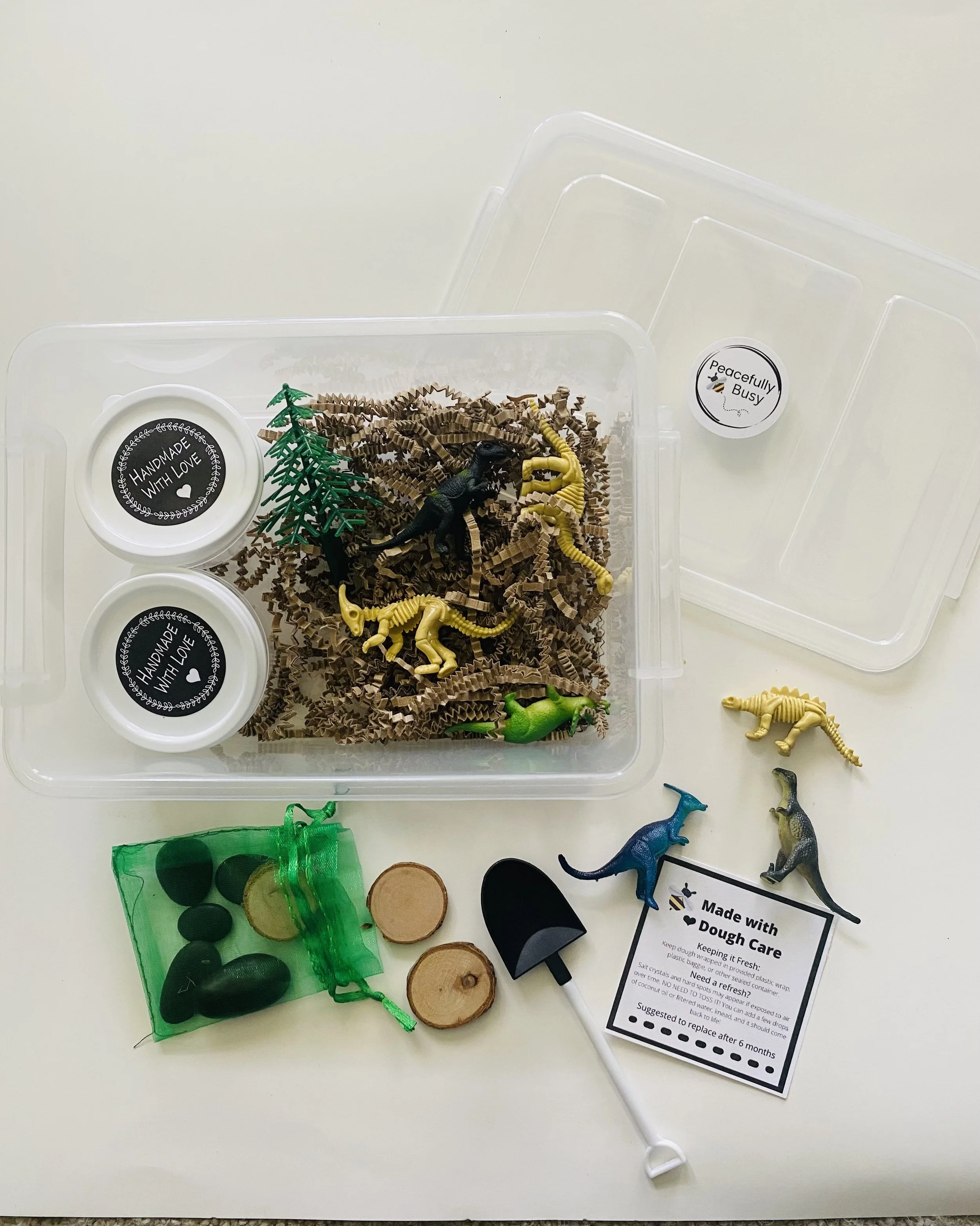 Dino Dig - Bizzy Bin