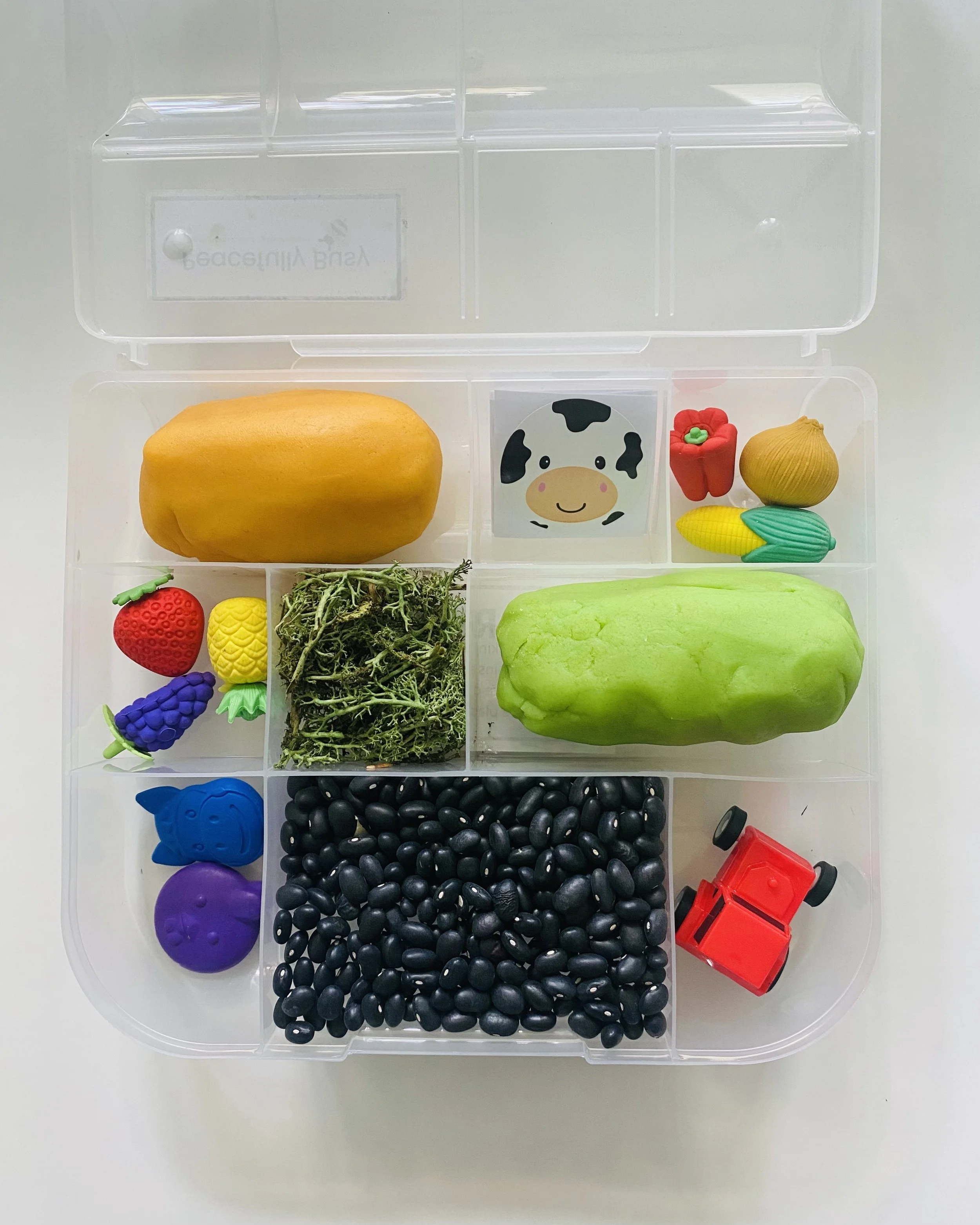 Farm Fun - Bizzy Bin (DISCONTINUED)