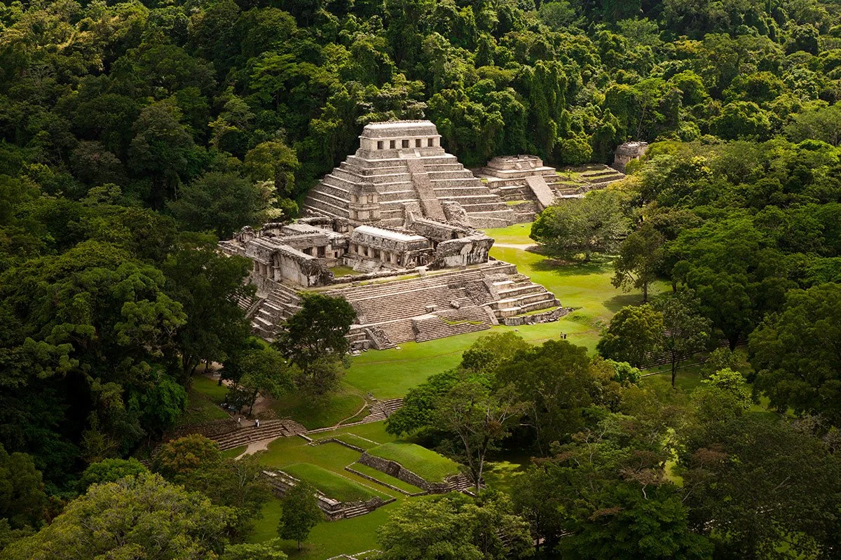 Una antigua estructura maya en medio de un denso bosque verde, con escaleras y plataformas de piedra, rodeada de árboles en Palenque, Chiapas, Mexico.