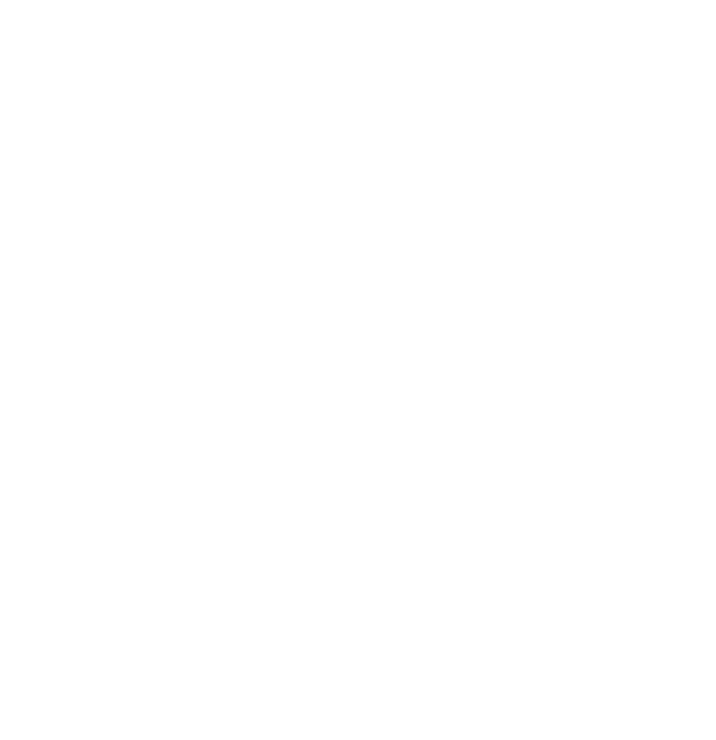 Integrative Values Charter