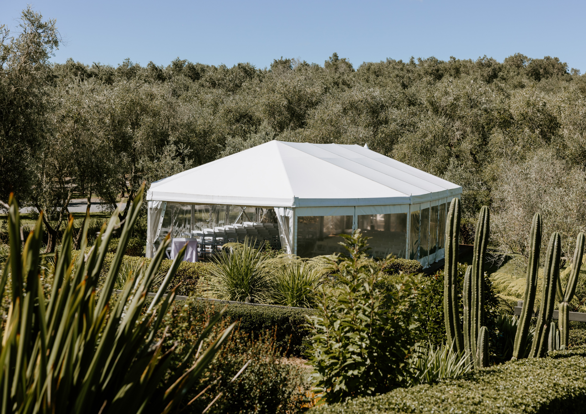 Large white event tent set up in a lush, green garden with cacti and various plants, surrounded by trees under a clear blue sky.
