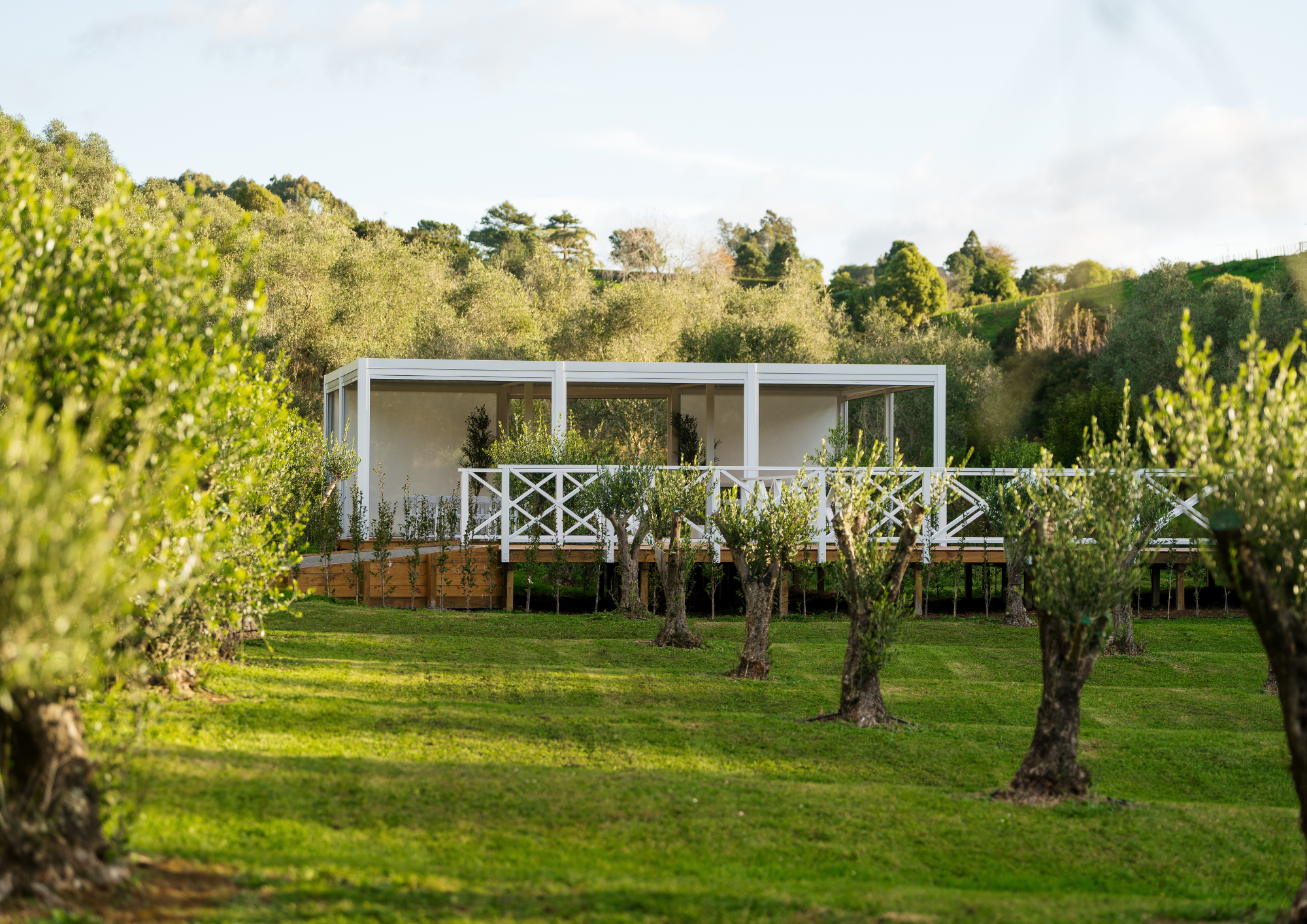 Modern white house with a covered porch on a grassy hillside, surrounded by trees and green hills in the background.