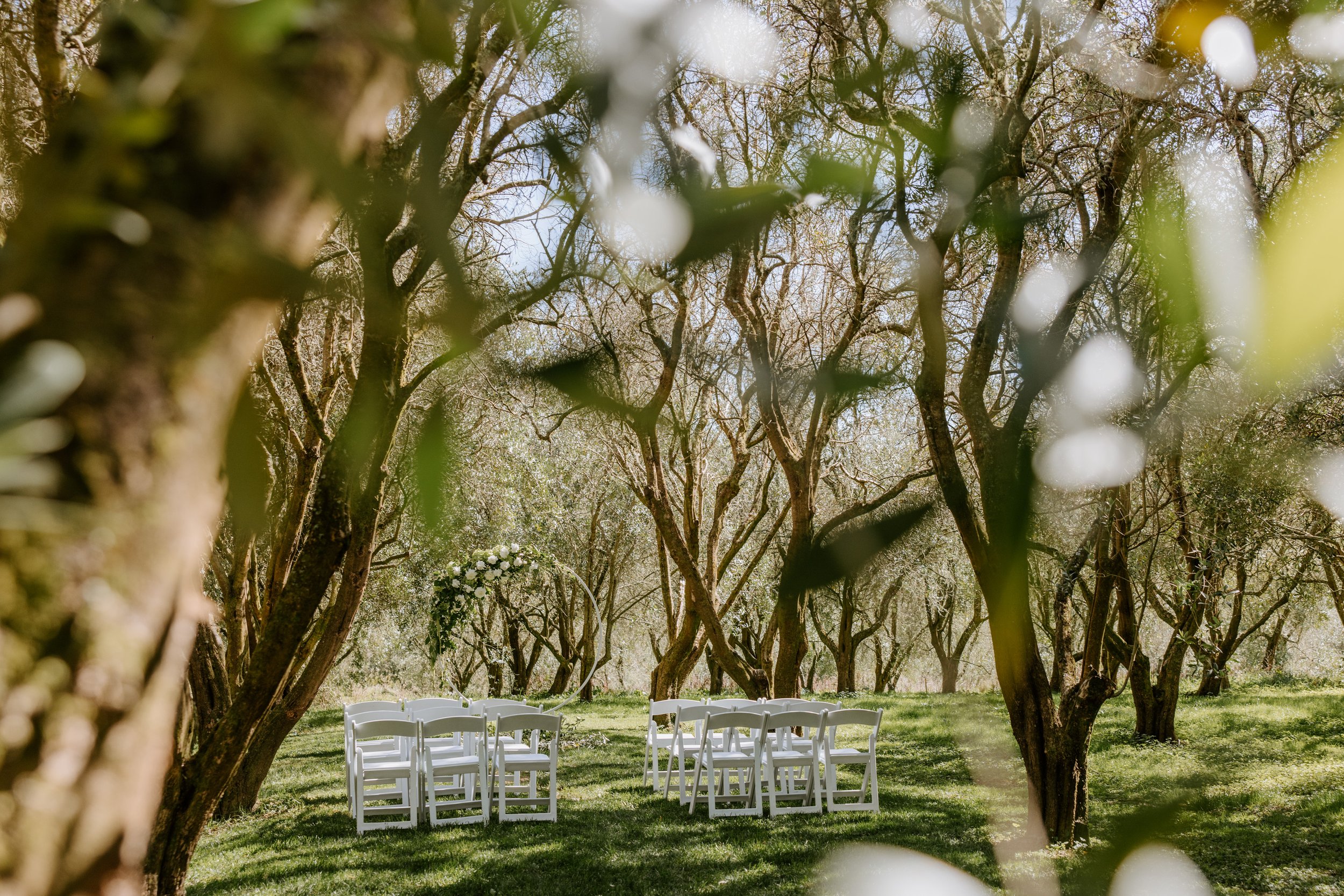 Outdoor wedding ceremony setup with white chairs arranged in rows, surrounded by lush trees in a sunny, green forest.