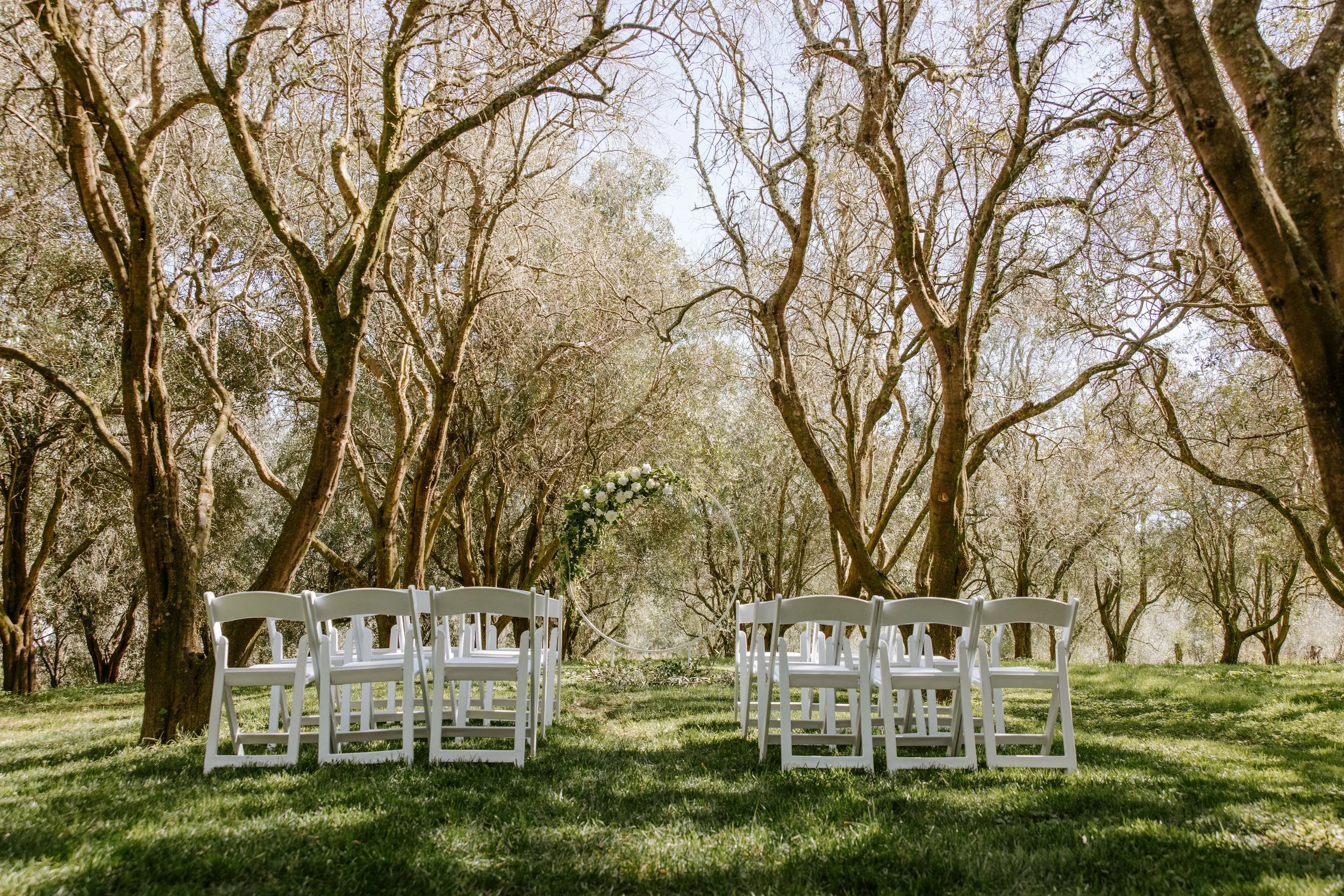 Outdoor wedding ceremony setup with white chairs arranged on green grass under leafless trees, with a round floral wedding arch in the background.