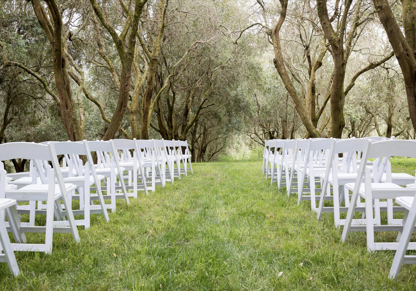 Outdoor wedding ceremony setup with rows of white chairs on green grass, under trees with twisting branches.