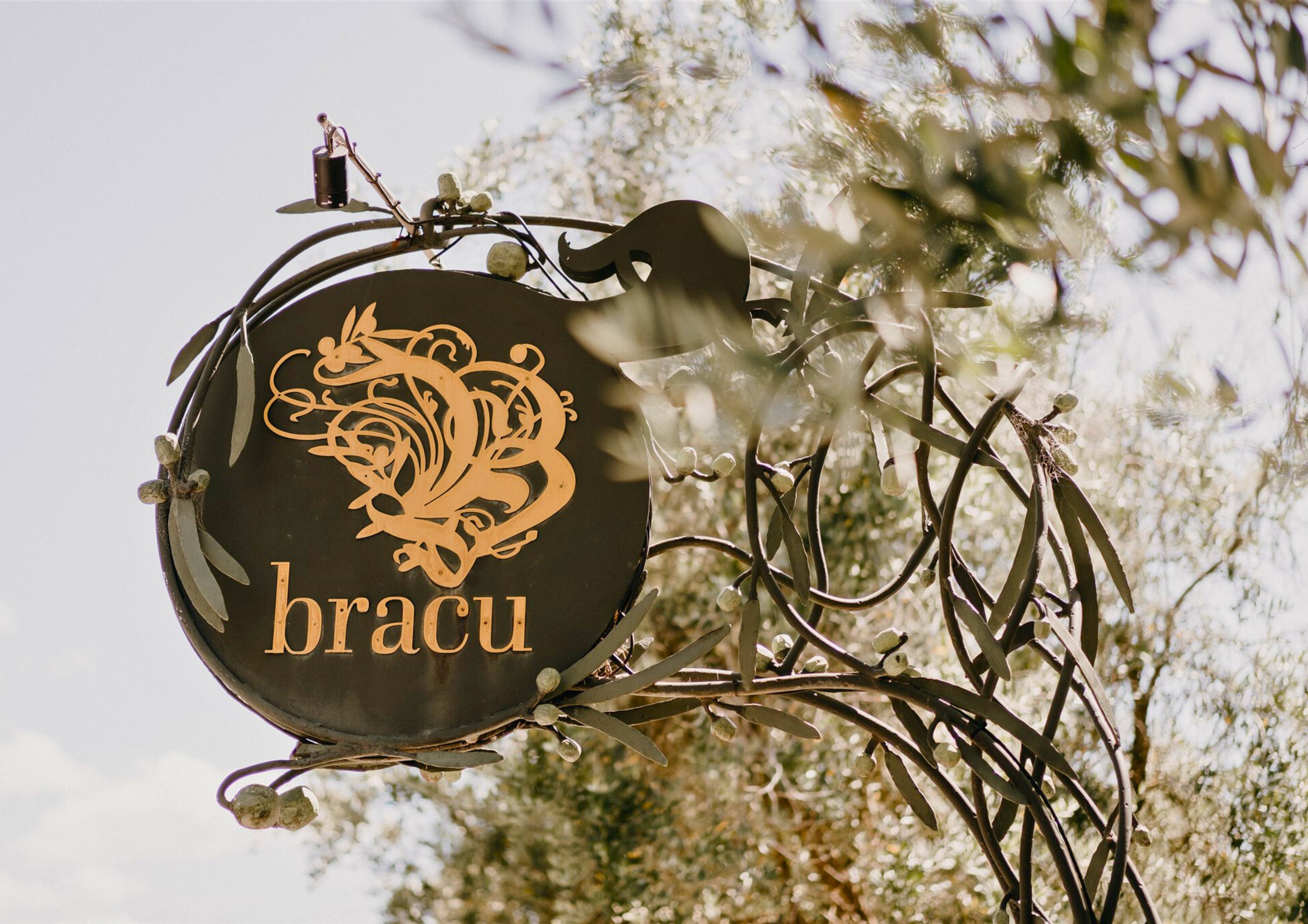 Metal sign with intricate design and the word 'bracu' hanging among tree branches and leaves.