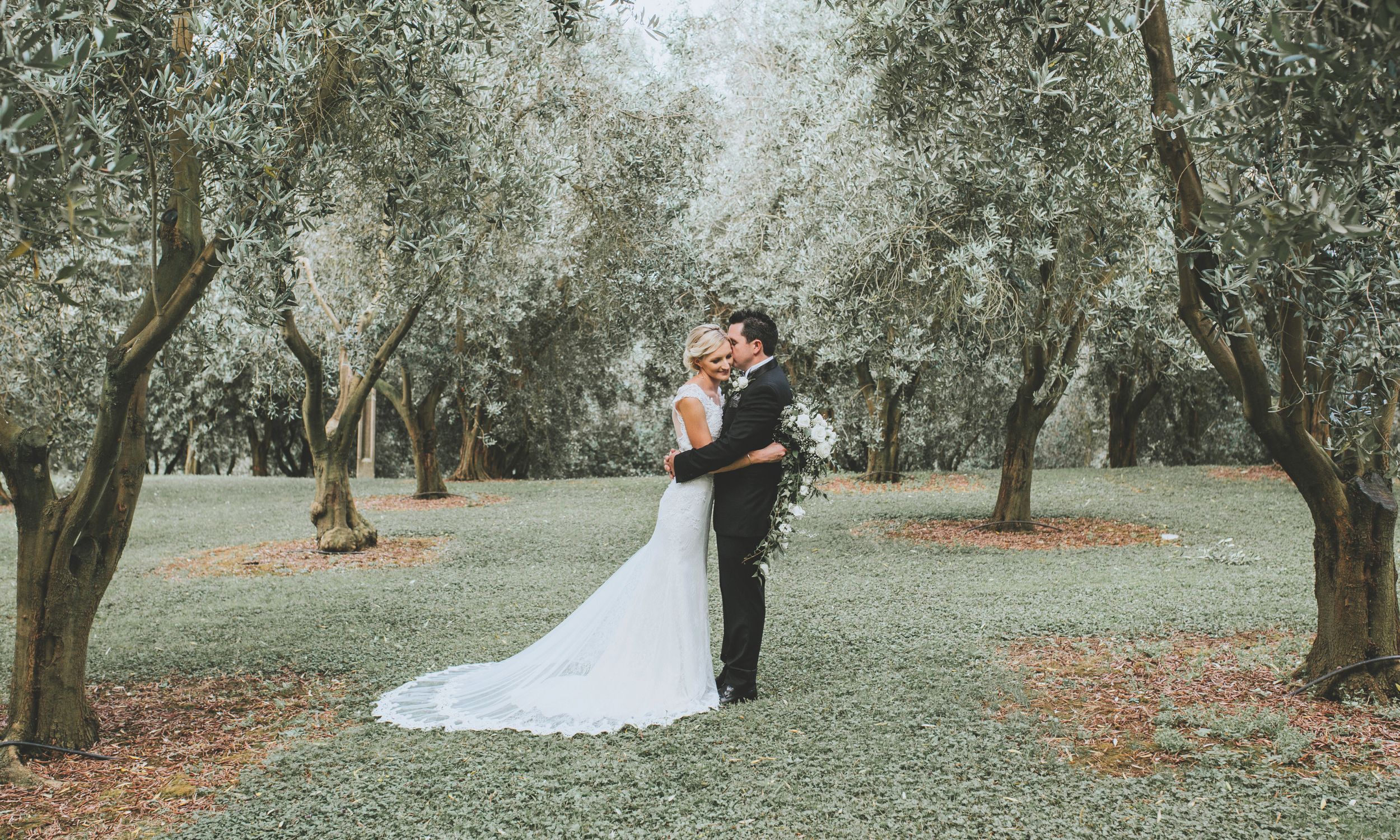 A bride and groom embrace in a lush, green orchard with tall trees and a grassy ground, during their wedding celebration.