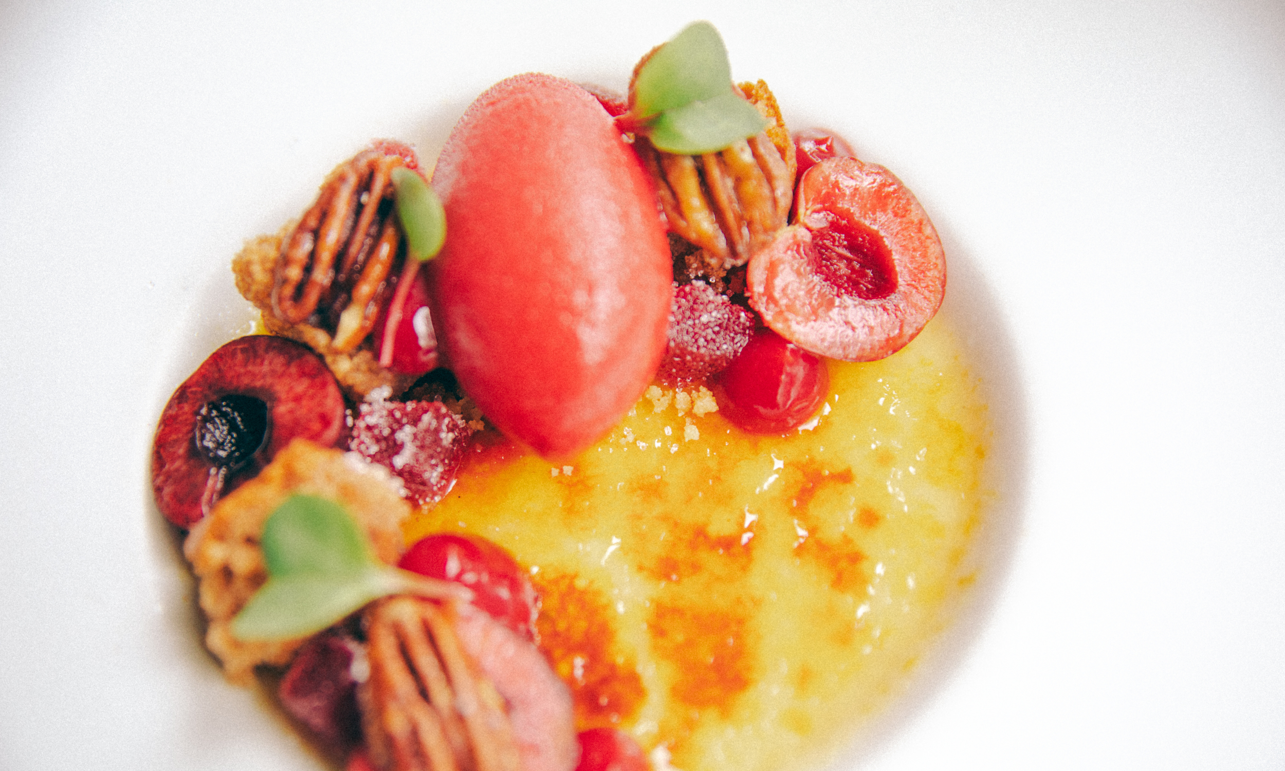 Dessert with strawberries, raspberries, cherries, microgreens, and a yellow sauce or pudding on a white plate.