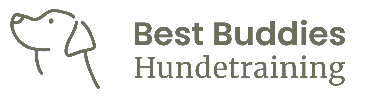 Best Buddies Hundetraining - mobile Hundeschule in Detmold, Lemgo, Lage 