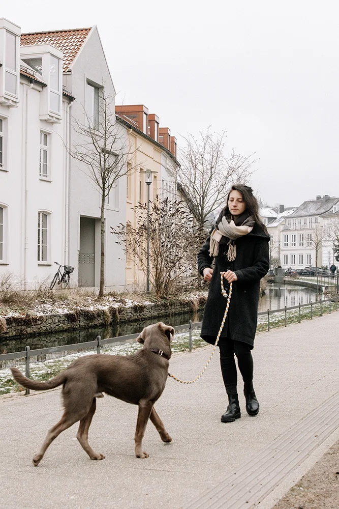 Eine junge Frau spaziert mit einem braunen Hund an der Uferpromenade in einer Stadt bei bewölktem Himmel.