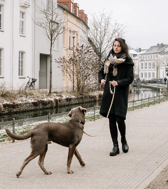 Eine Frau geht mit einem Hund an einer Kanalpromenade in einer Stadt spazieren, umgeben von schneeüberzogenen Bäumen und Gebäuden im Hintergrund.