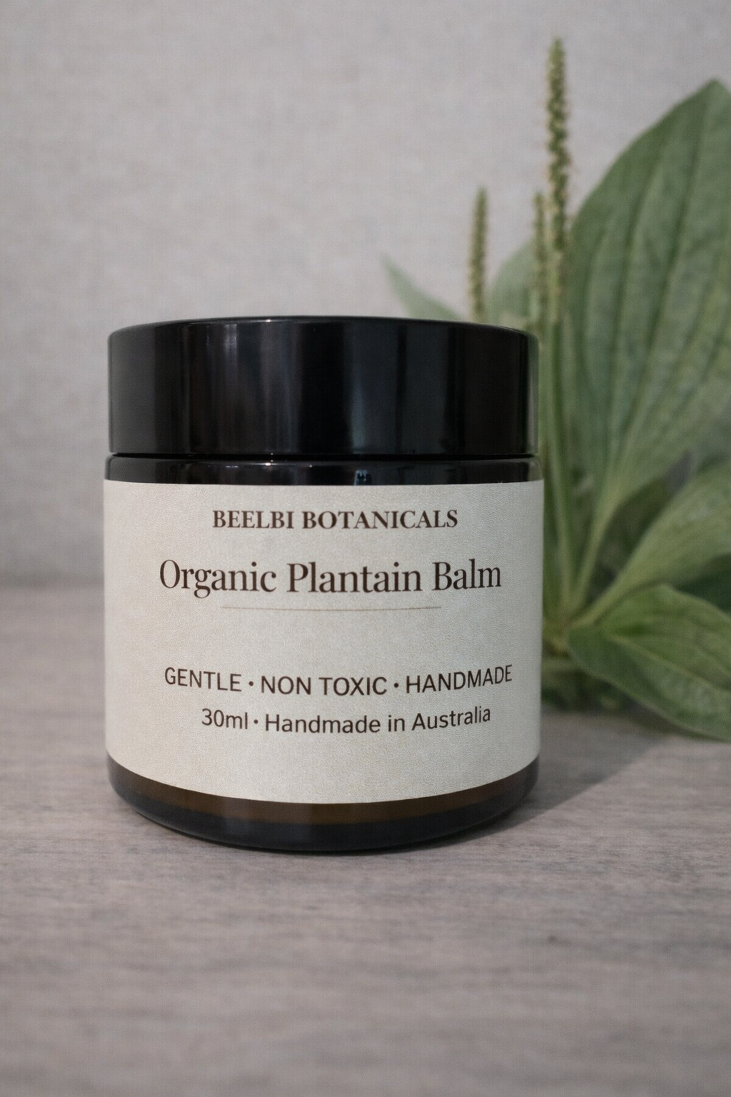 Plantain Herbal Balm 30ml