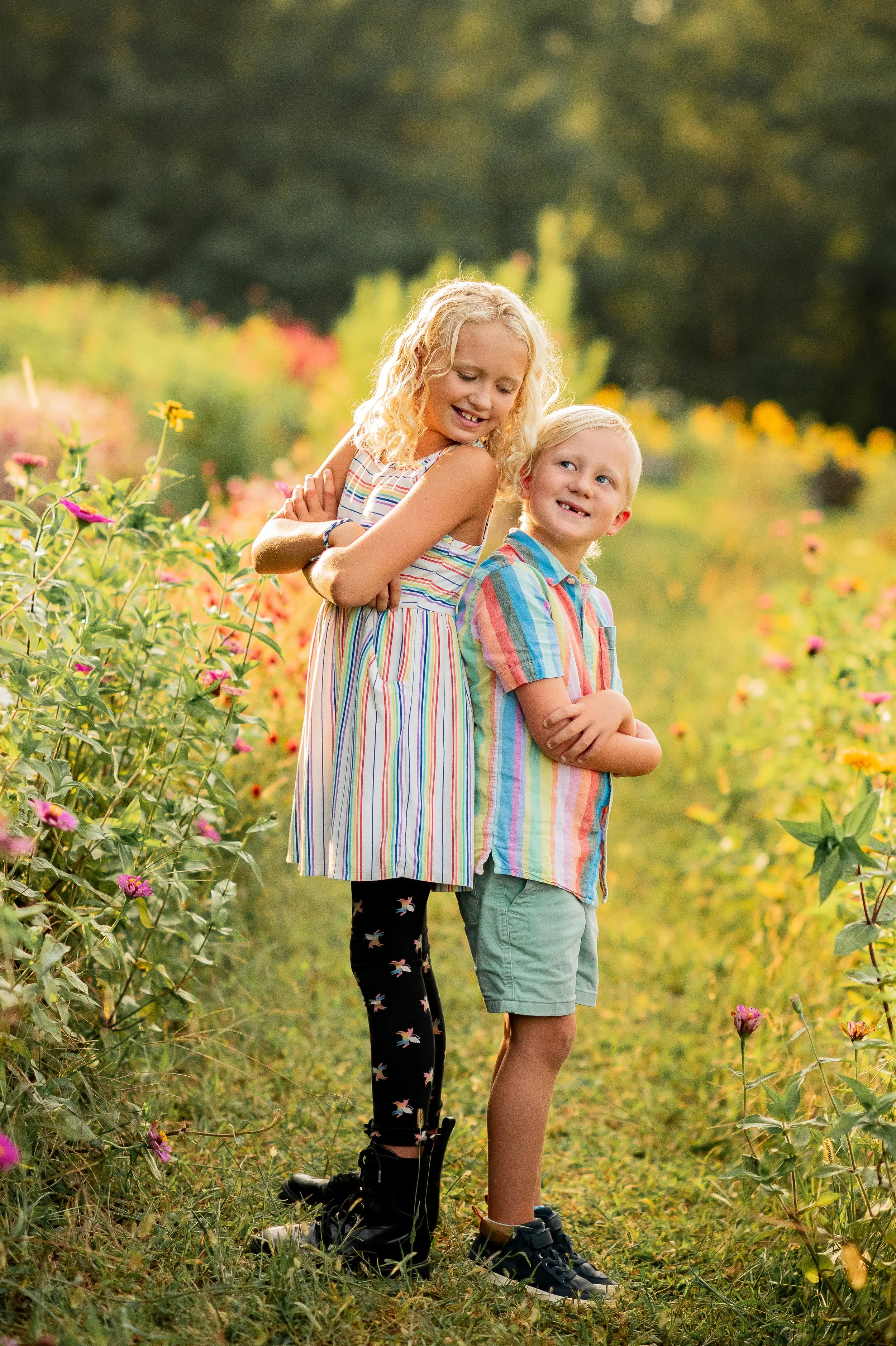 Holly Sunflowers 2024-26.jpg