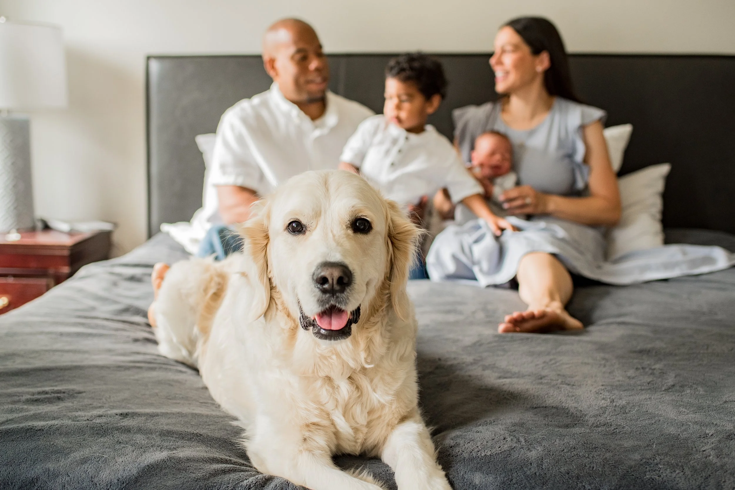 BRYCE NEWBORN -7.jpg