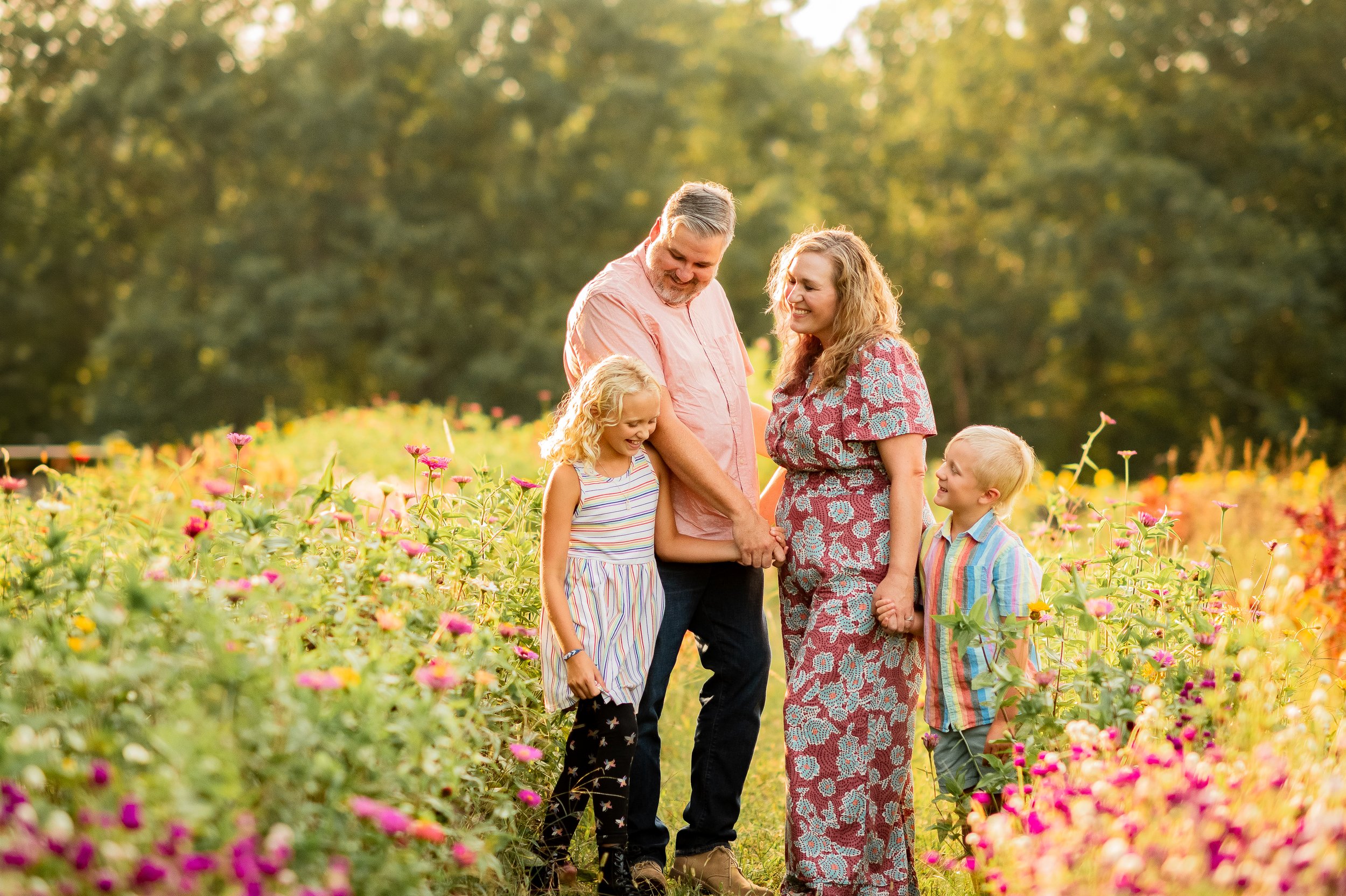 Holly Sunflowers 2024-25.jpg