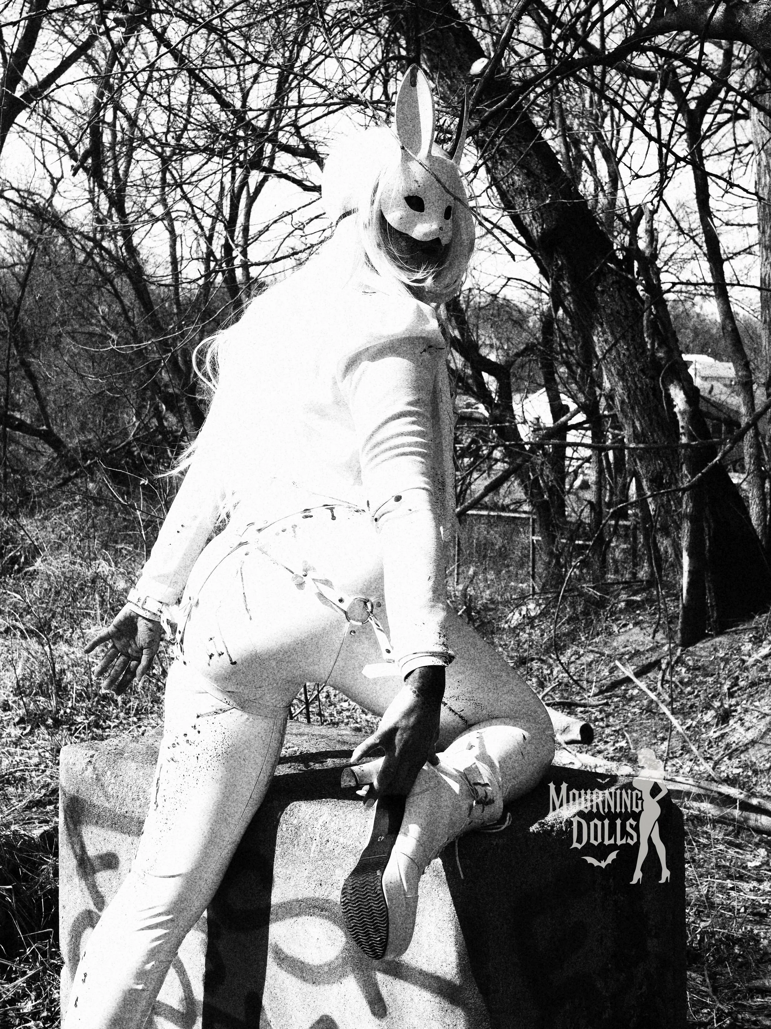 10 - The Hunt Storyline Vixen Voltaire 10.JPG