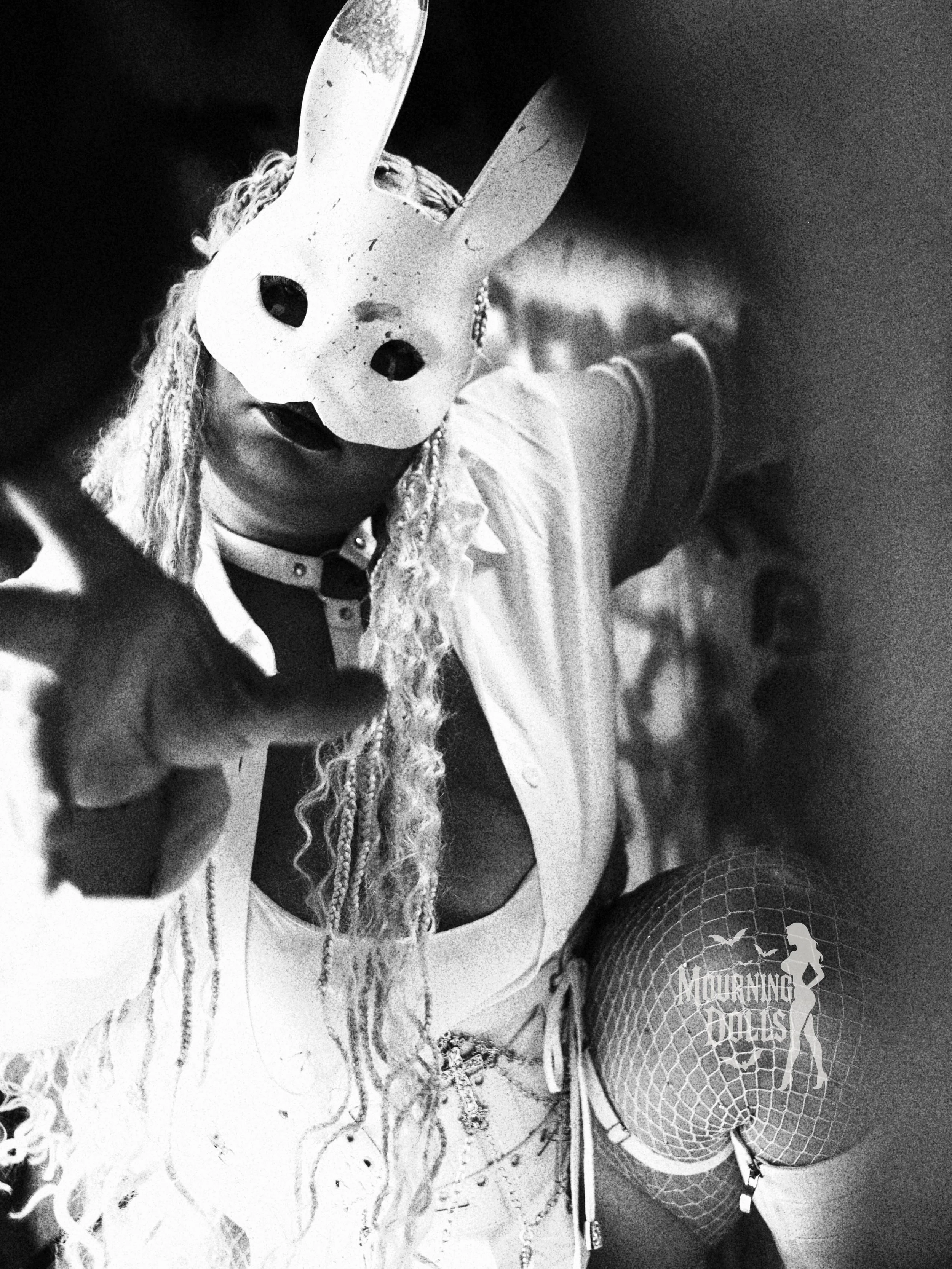 10 - The Hunt Storyline Purrvana 14.JPG