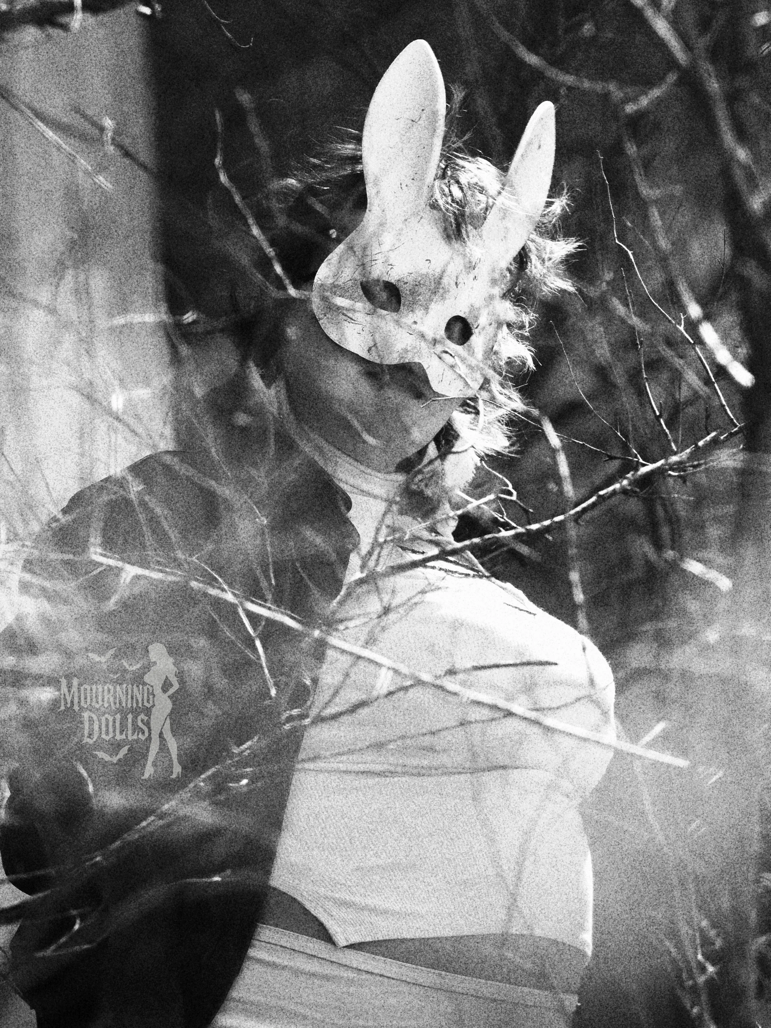 10 - The Hunt Storyline Lady Lore 7.JPG