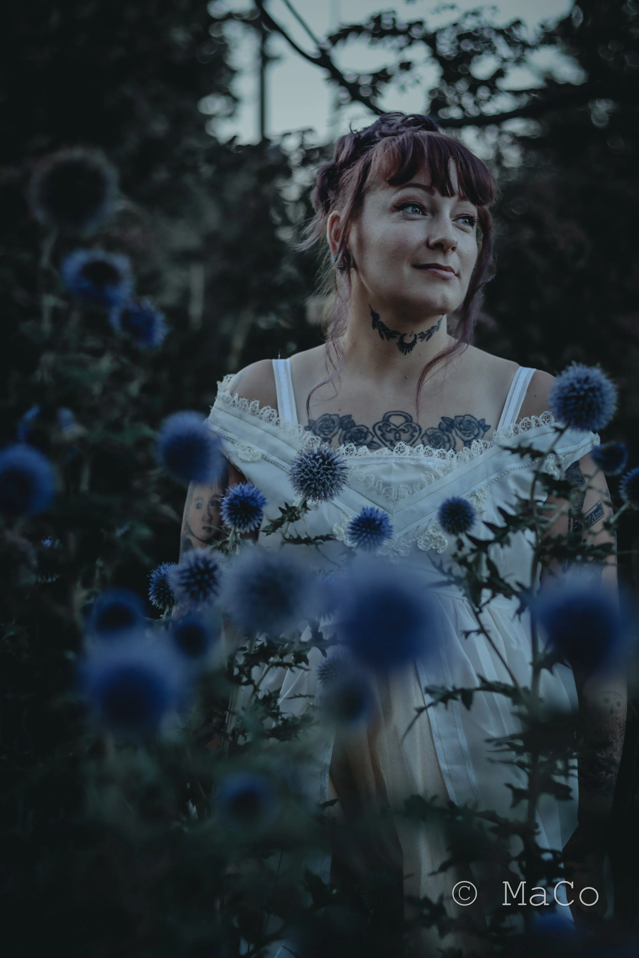 Staged in Love Lily Omen 2.jpeg