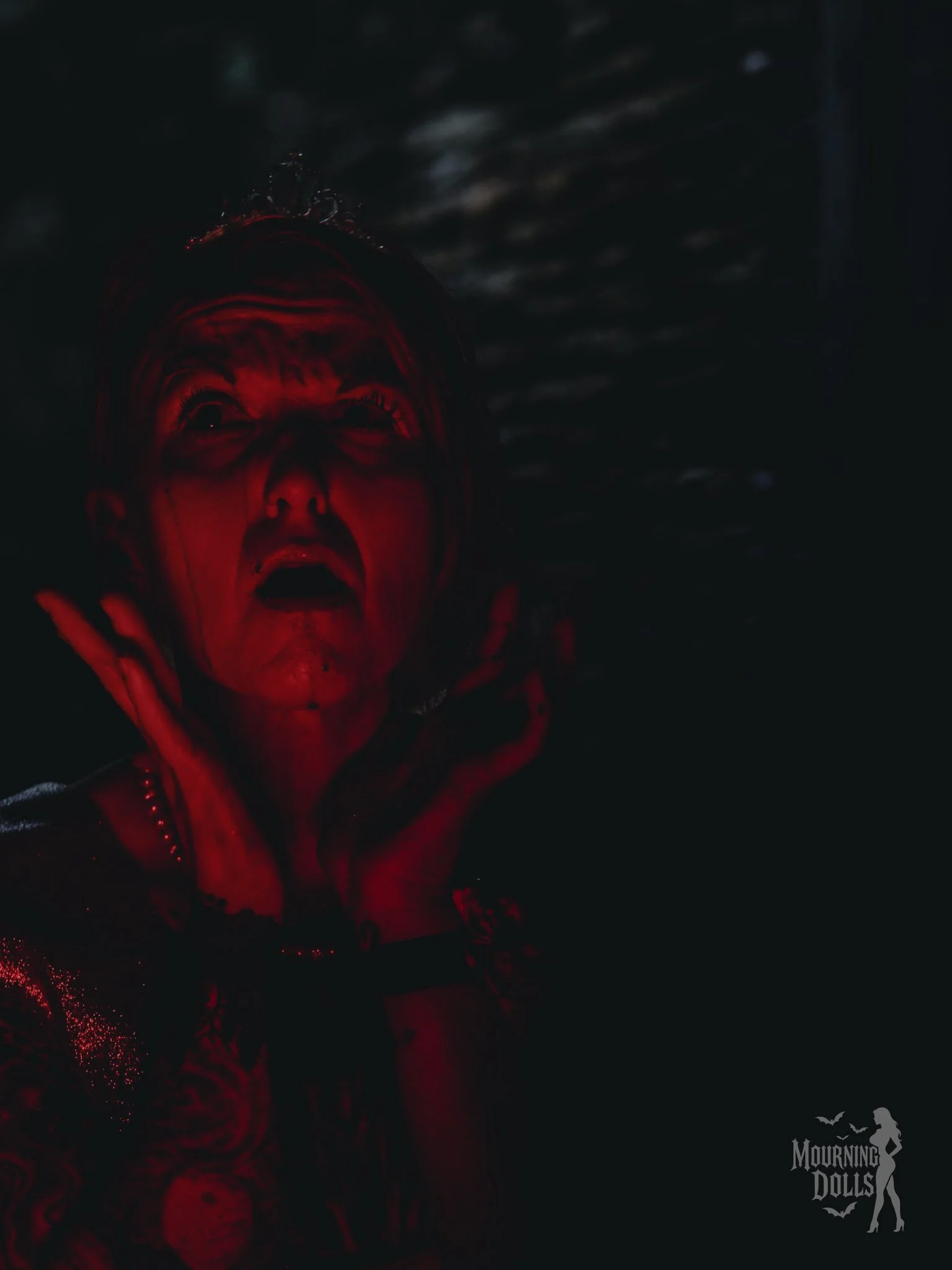 Carries Rage Vixen Voltaire 4.JPG