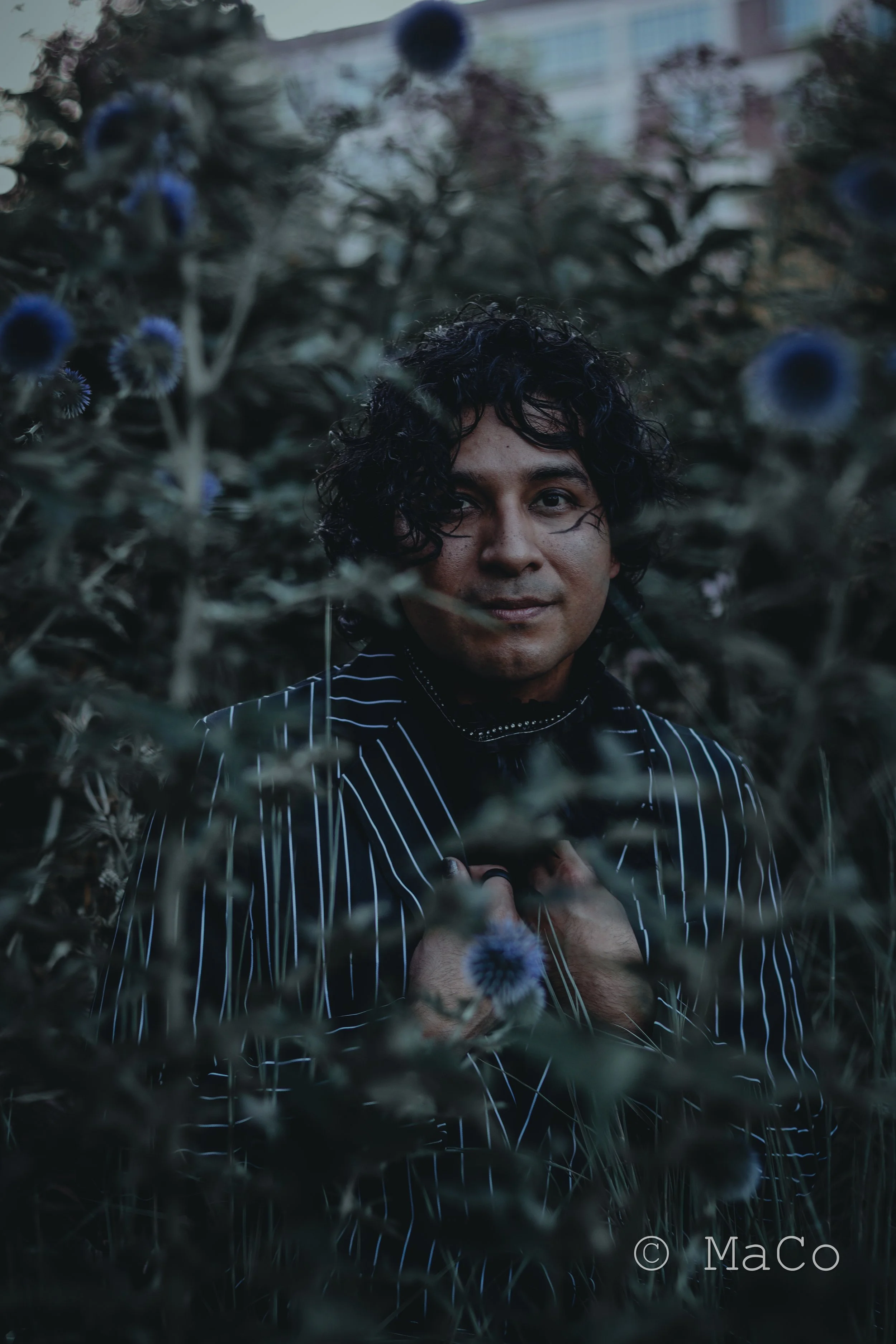 Staged in Love Bee Obsidian 3.jpeg