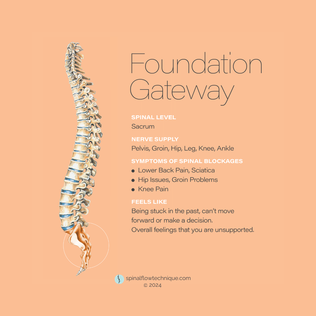 An infographic about the Foundation Gateway, a spinal level related to the sacrum, showing a detailed illustration of the human spine and pelvis. The infographic lists nerve supply, symptoms of spinal blockages, and feelings associated with issues in this area.